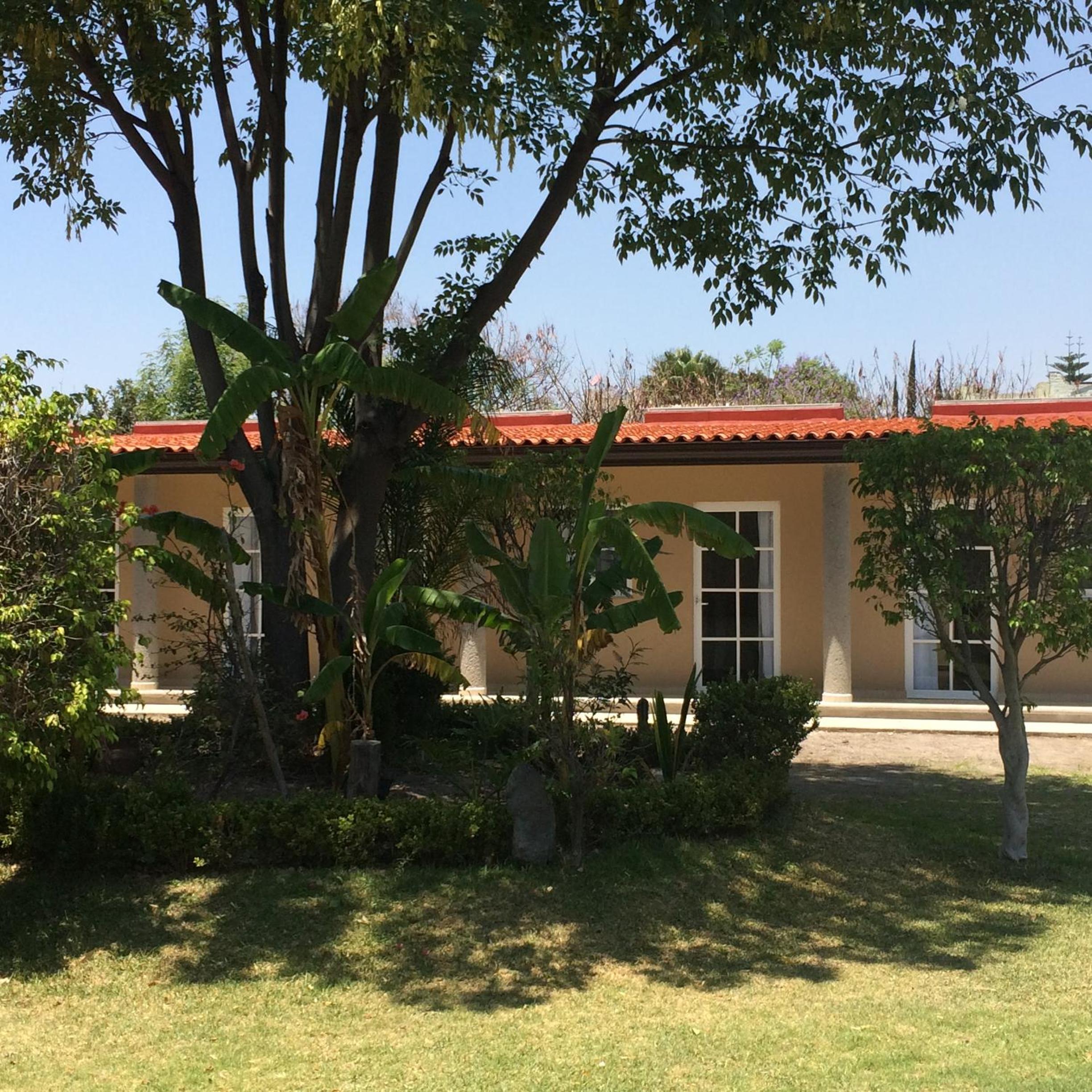 Double Room with Garden View photo 2