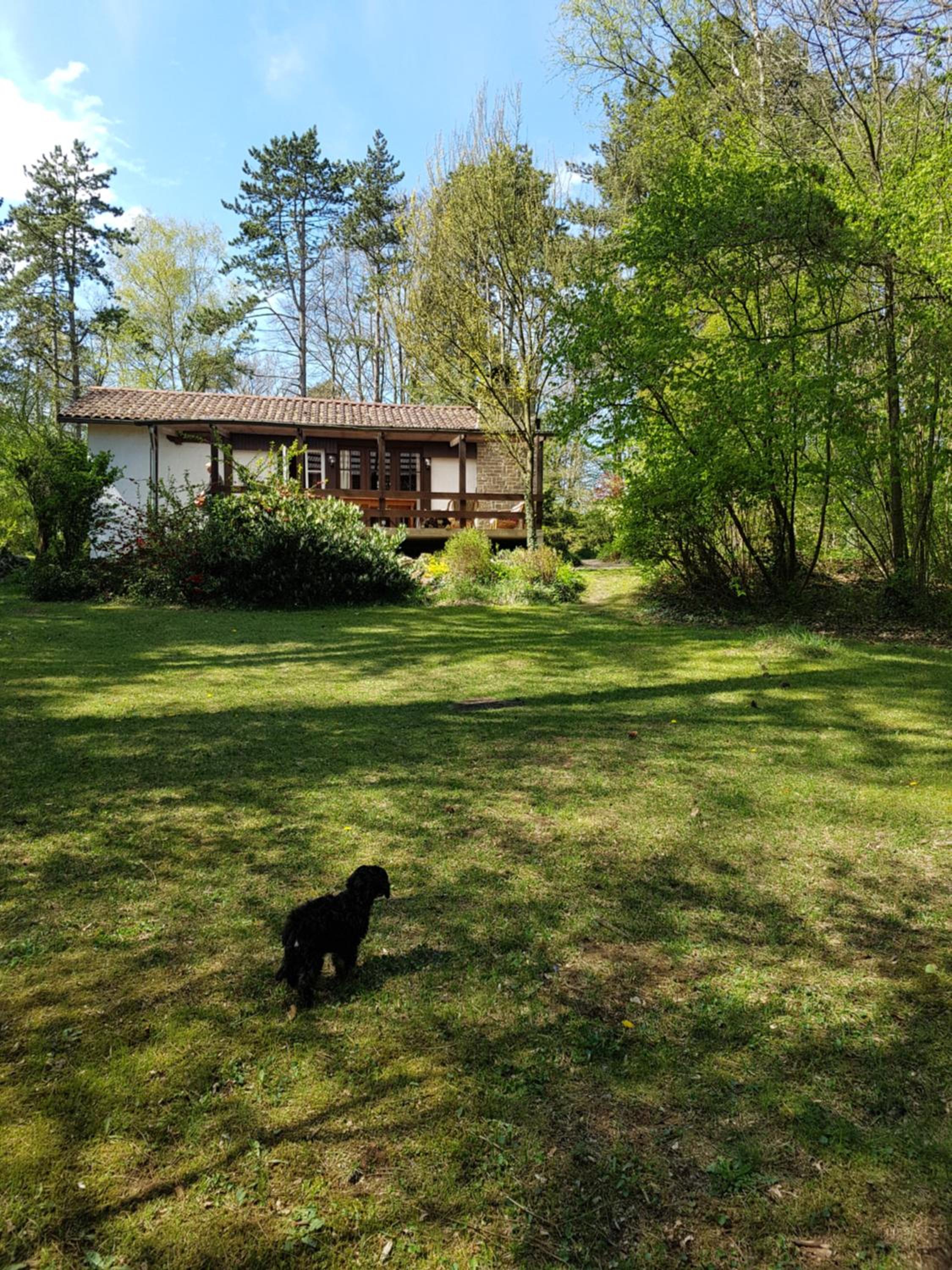 Chalet photo 3