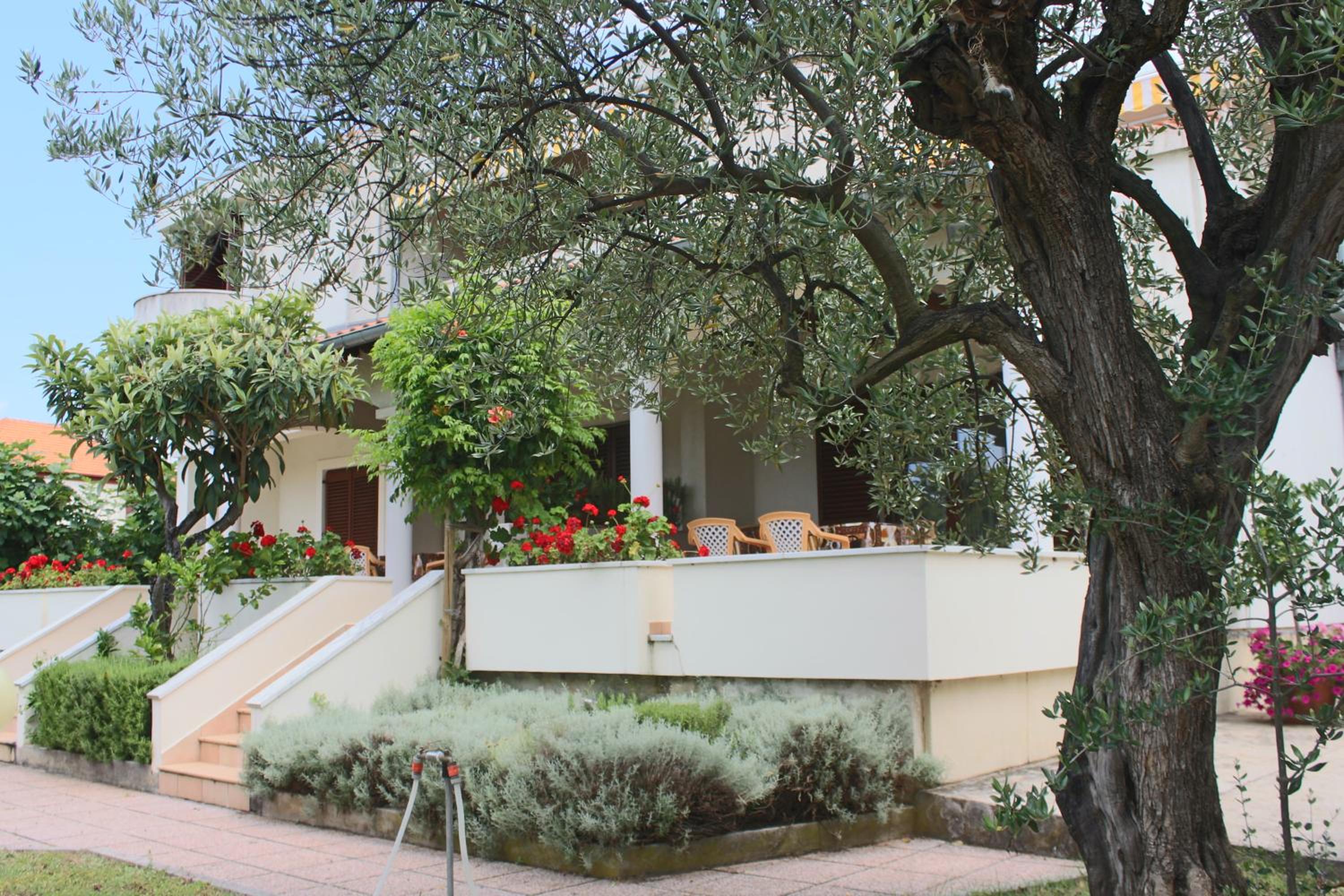 Apartment with Terrace photo 1