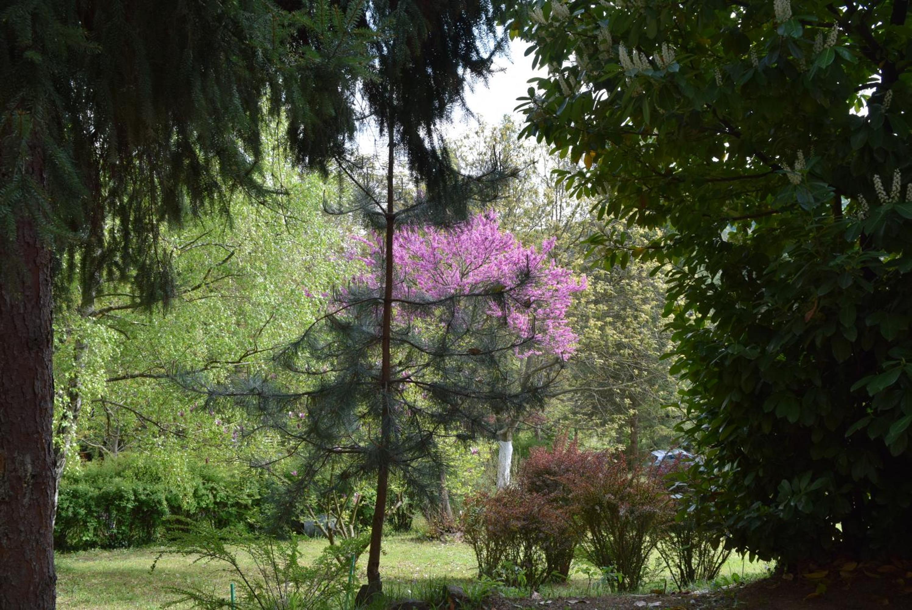 Holiday Home photo 2