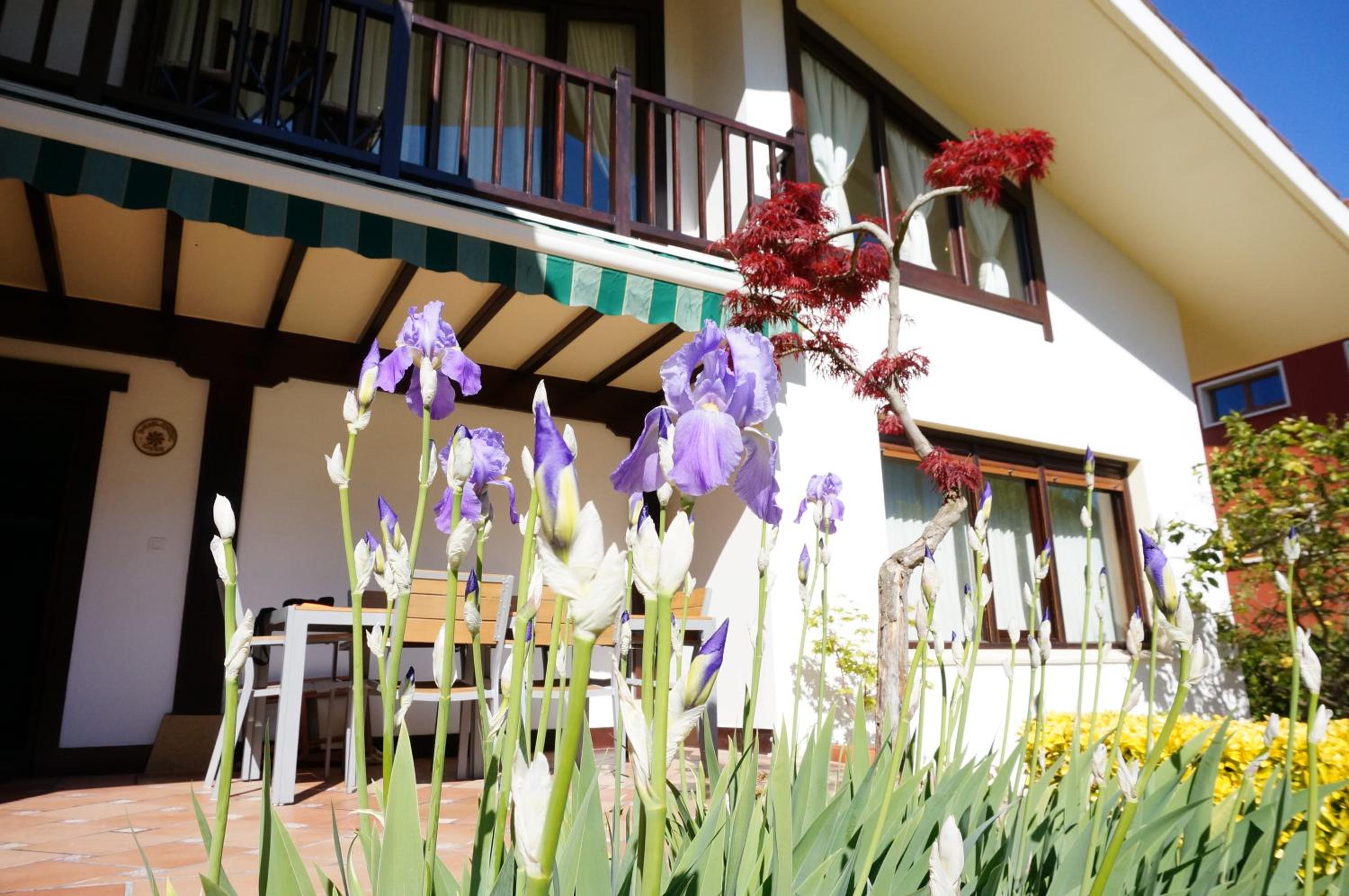 Chalet photo 2