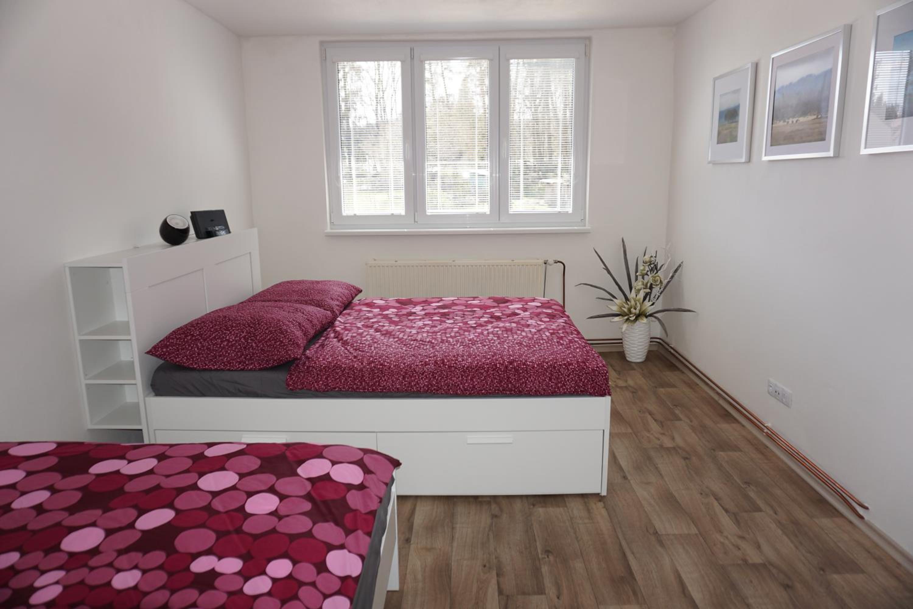 Apartment with Sauna photo 1