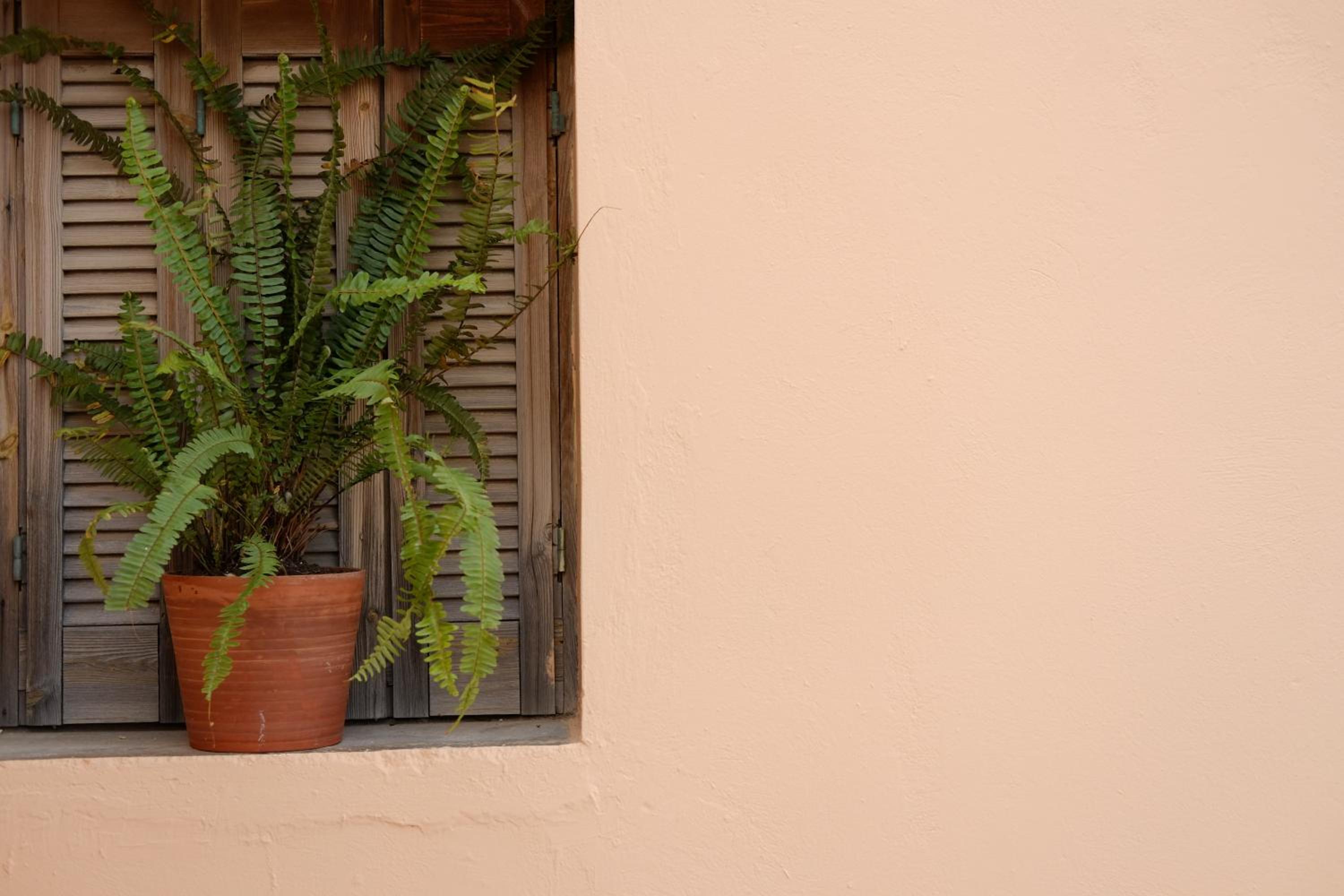Studio with Private Balcony and Sea View - Photo 13