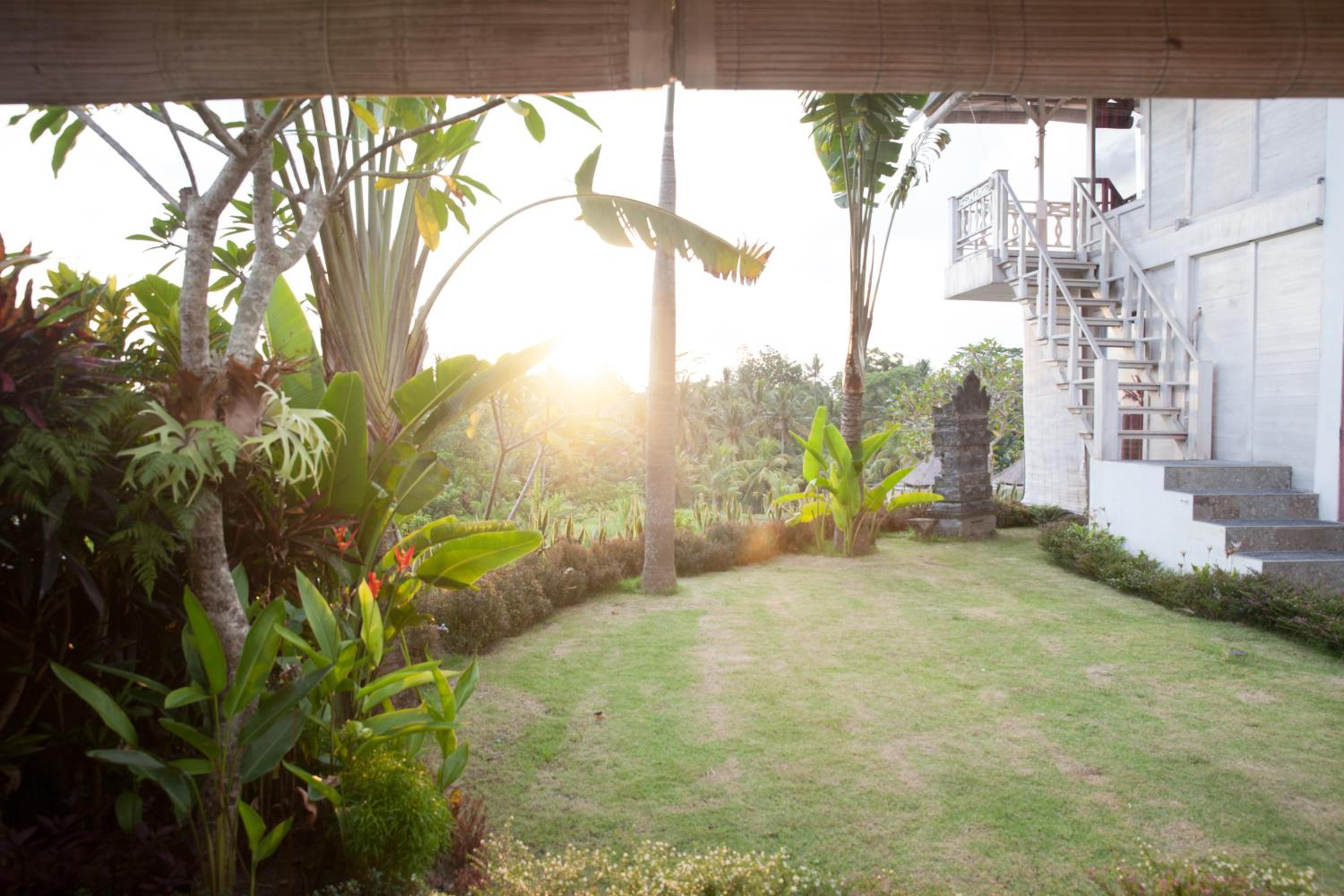 Deluxe Biu Villa with Ricefield View photo 2