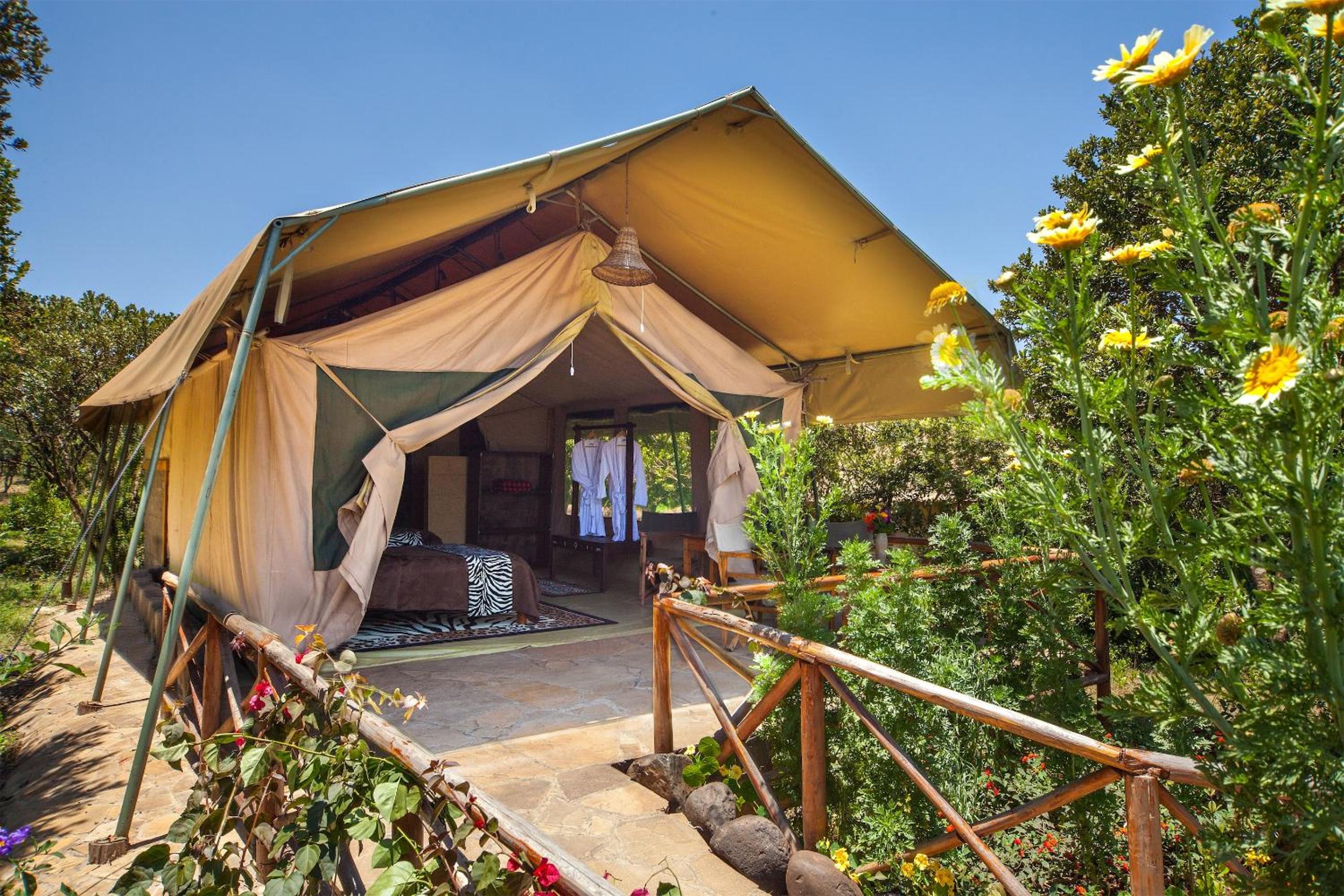 Tent photo 1