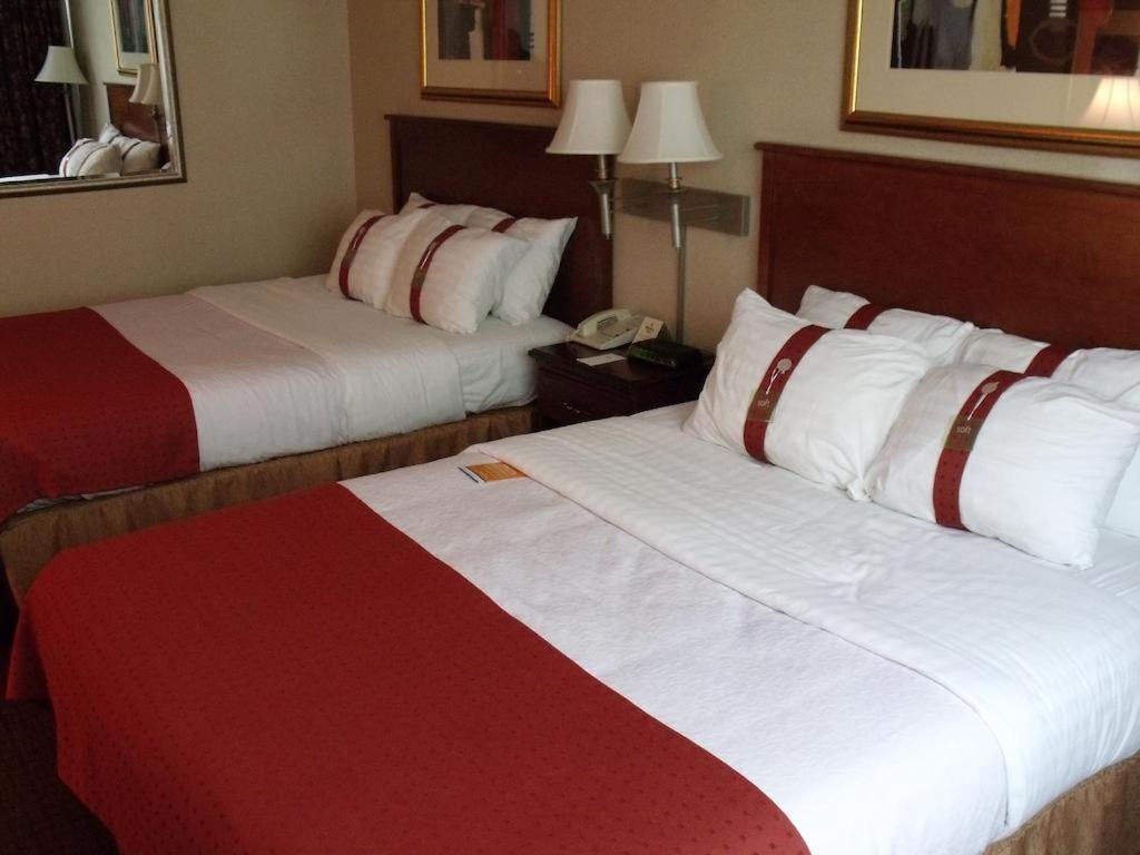 Quadruple Room - Disability Access - Photo 1