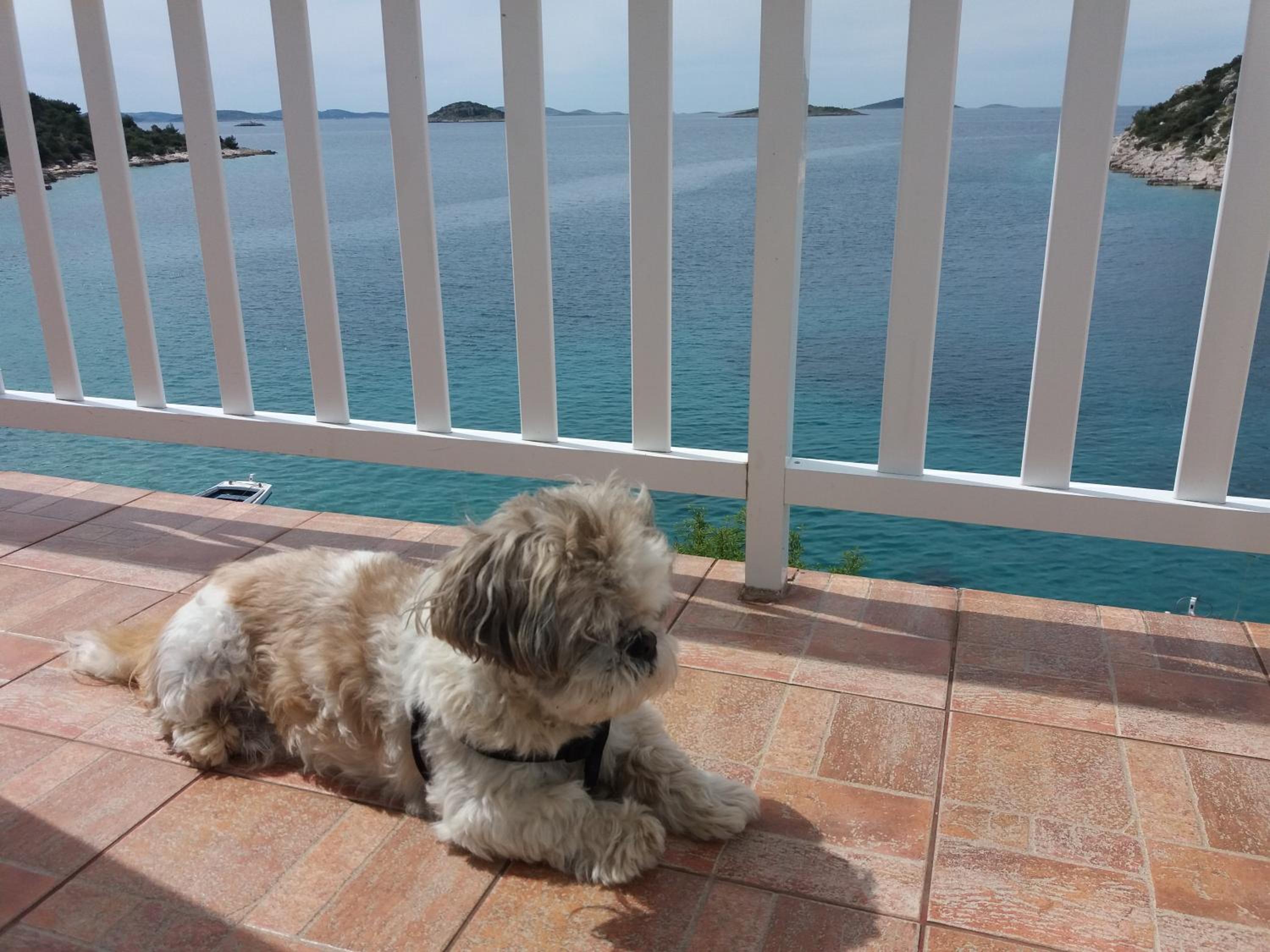 Apartment with Sea View photo 2