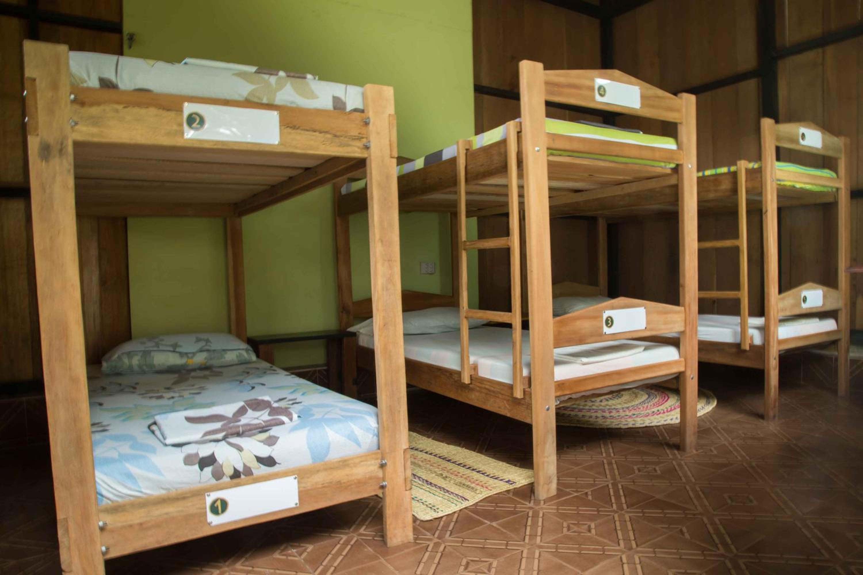 Single Bed in 6-Bed Dormitory Room photo 3