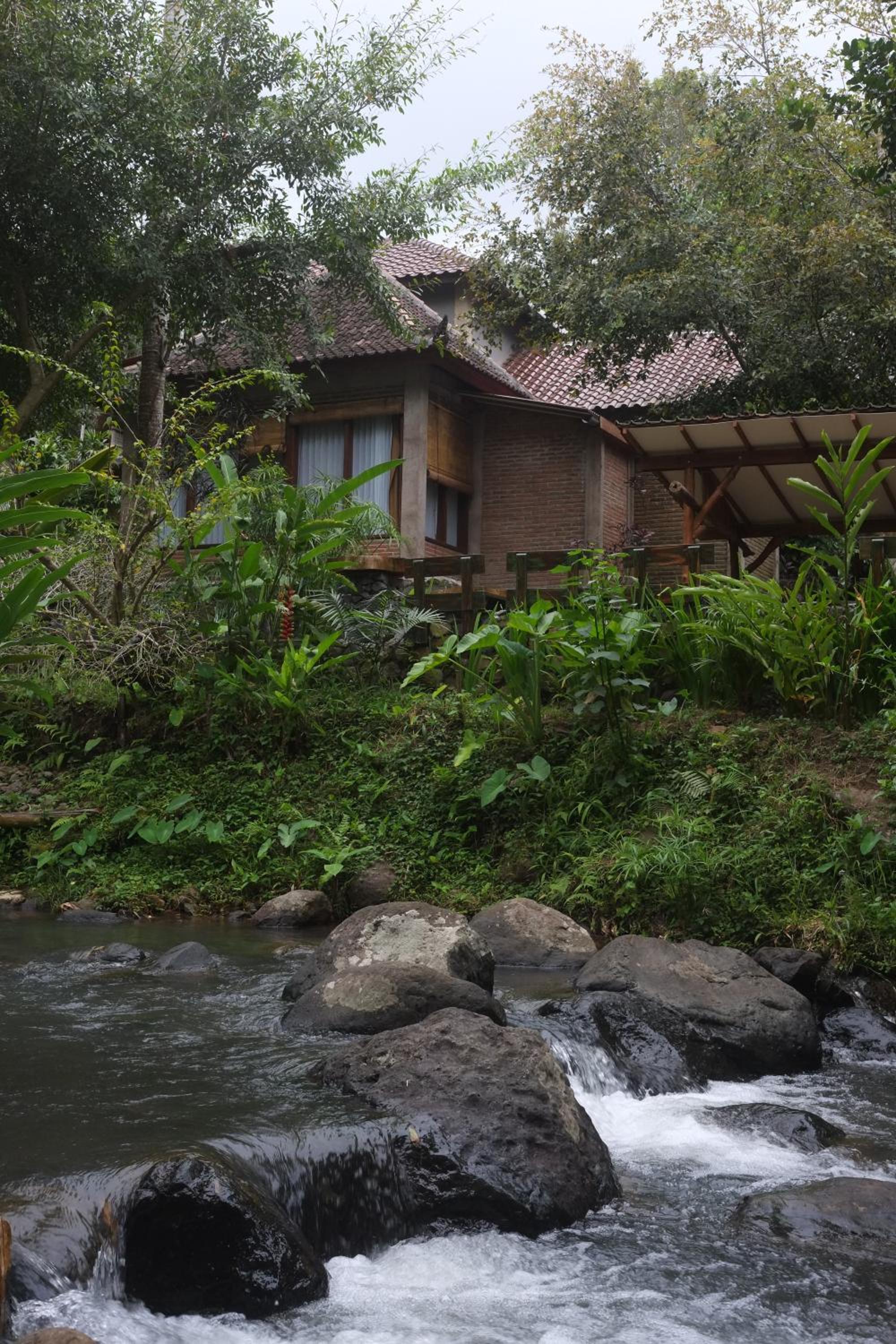 Suite with River View - Photo 8