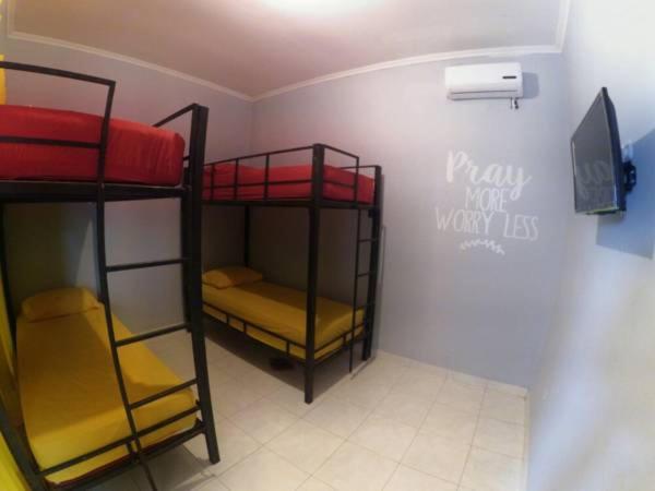 Single Bed in Female Dormitory Room photo 1