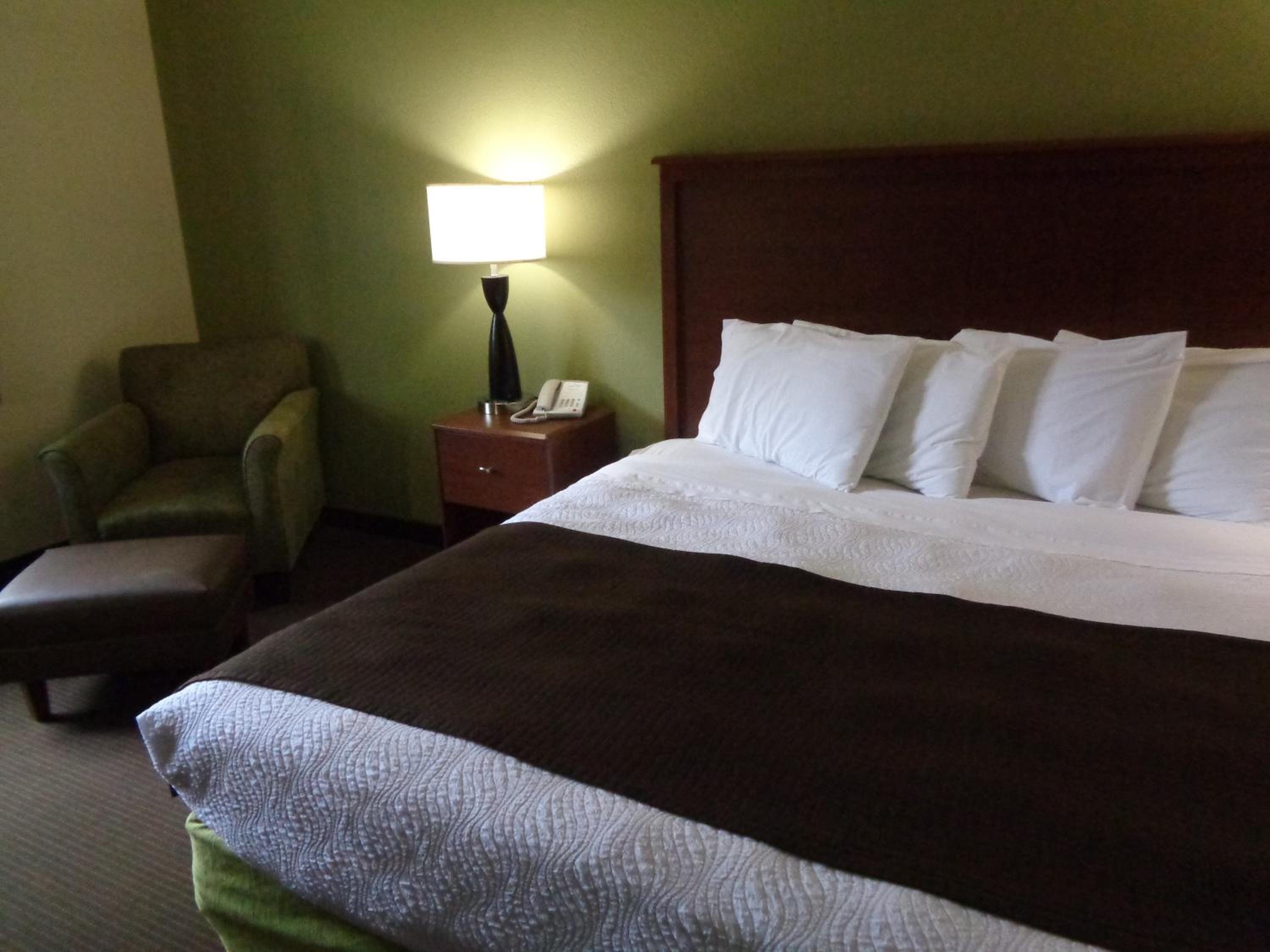 King Room - Non-Smoking photo 2