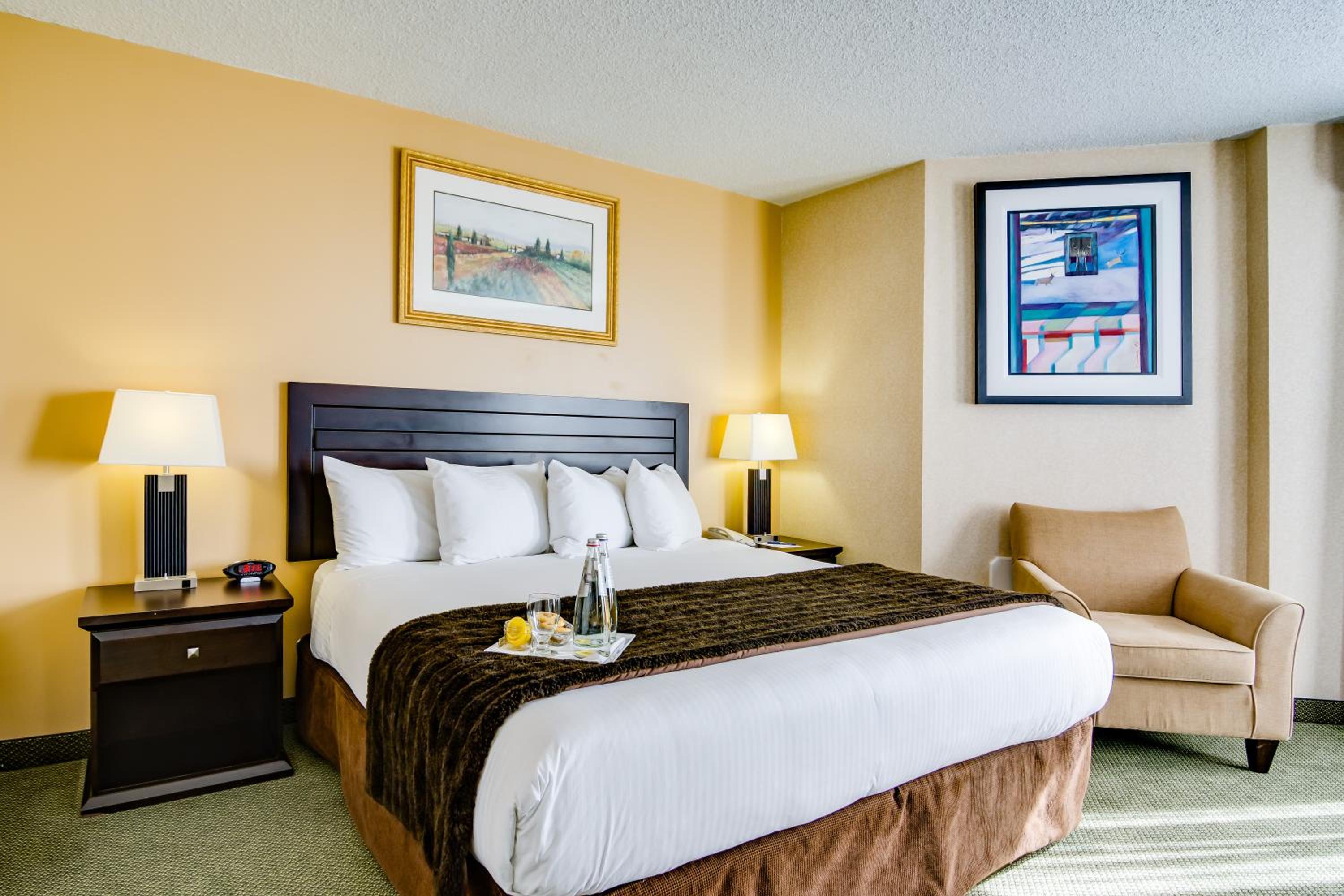 One-Bedroom Suite