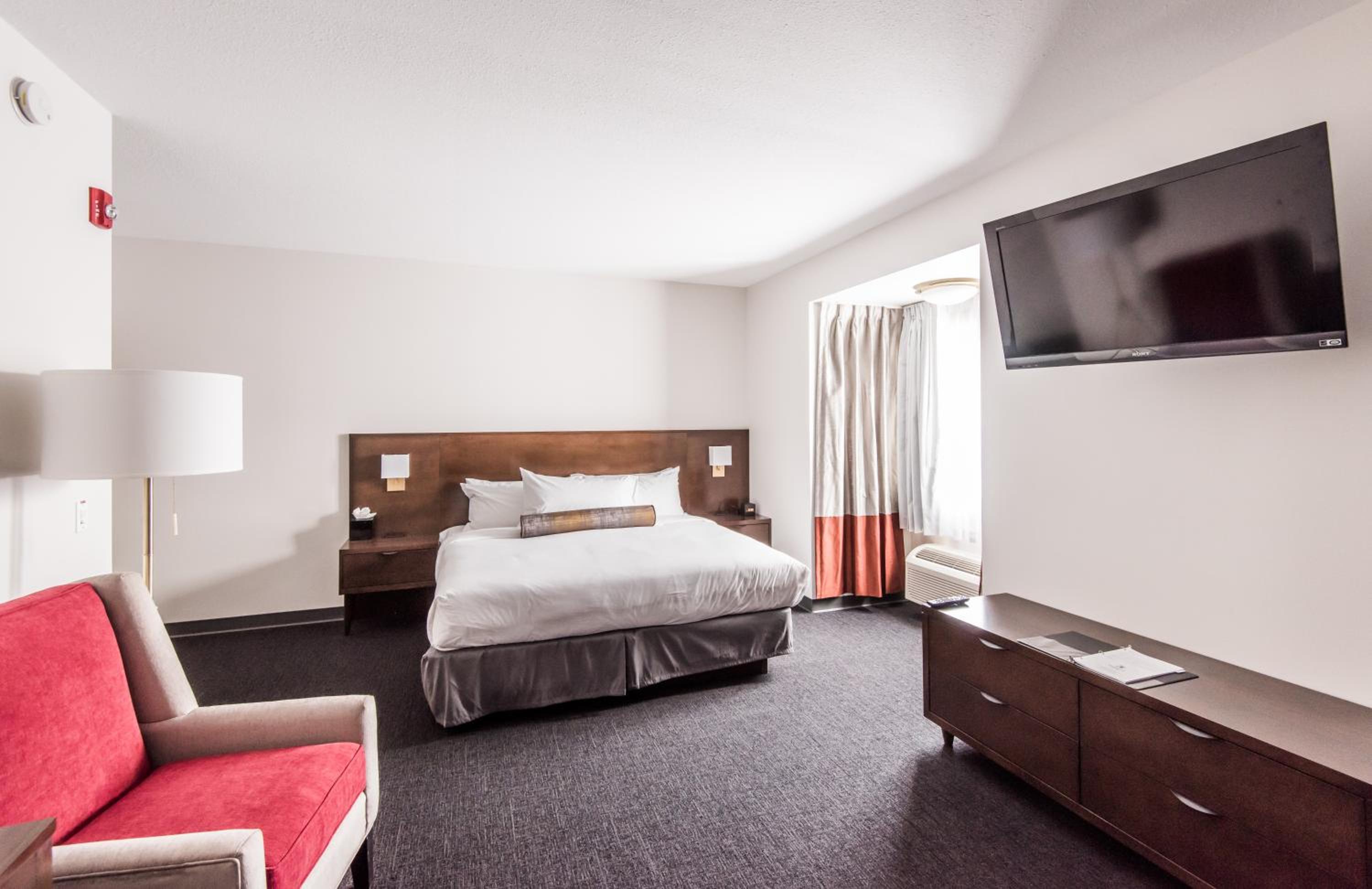 One-Bedroom Suite