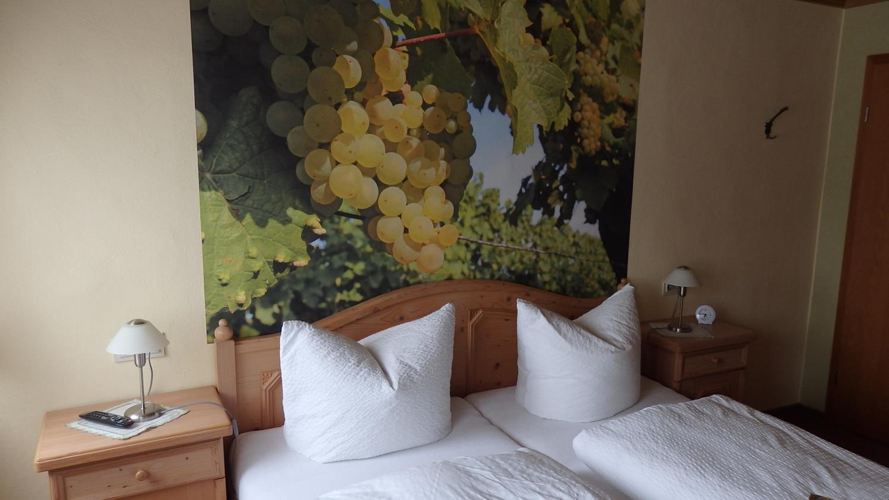 Double Room with Mountain View photo 2
