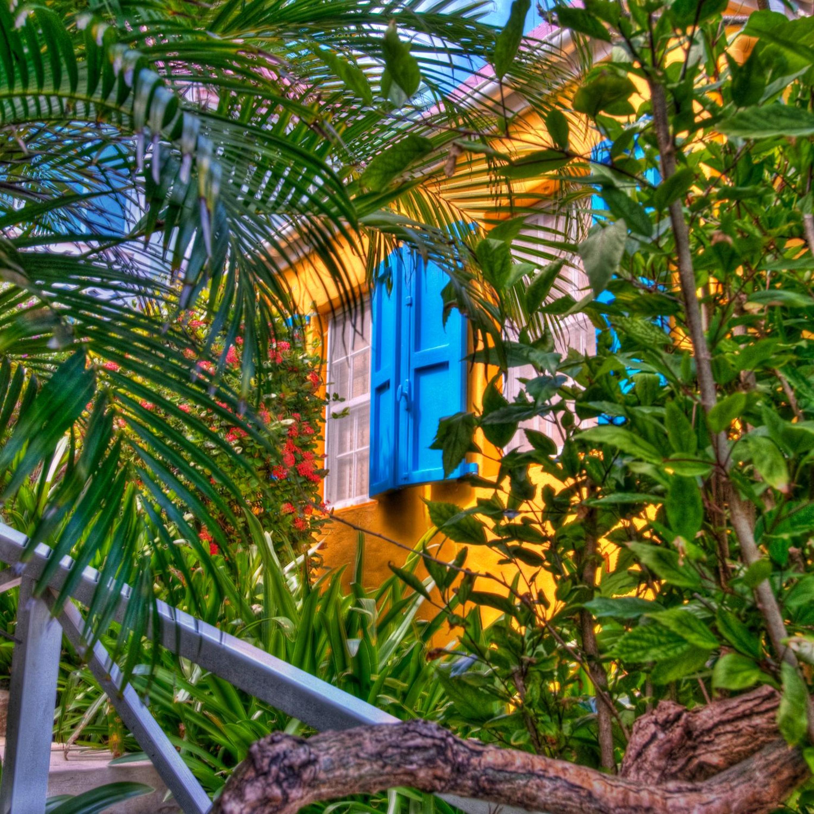 One-Bedroom Villa photo 2