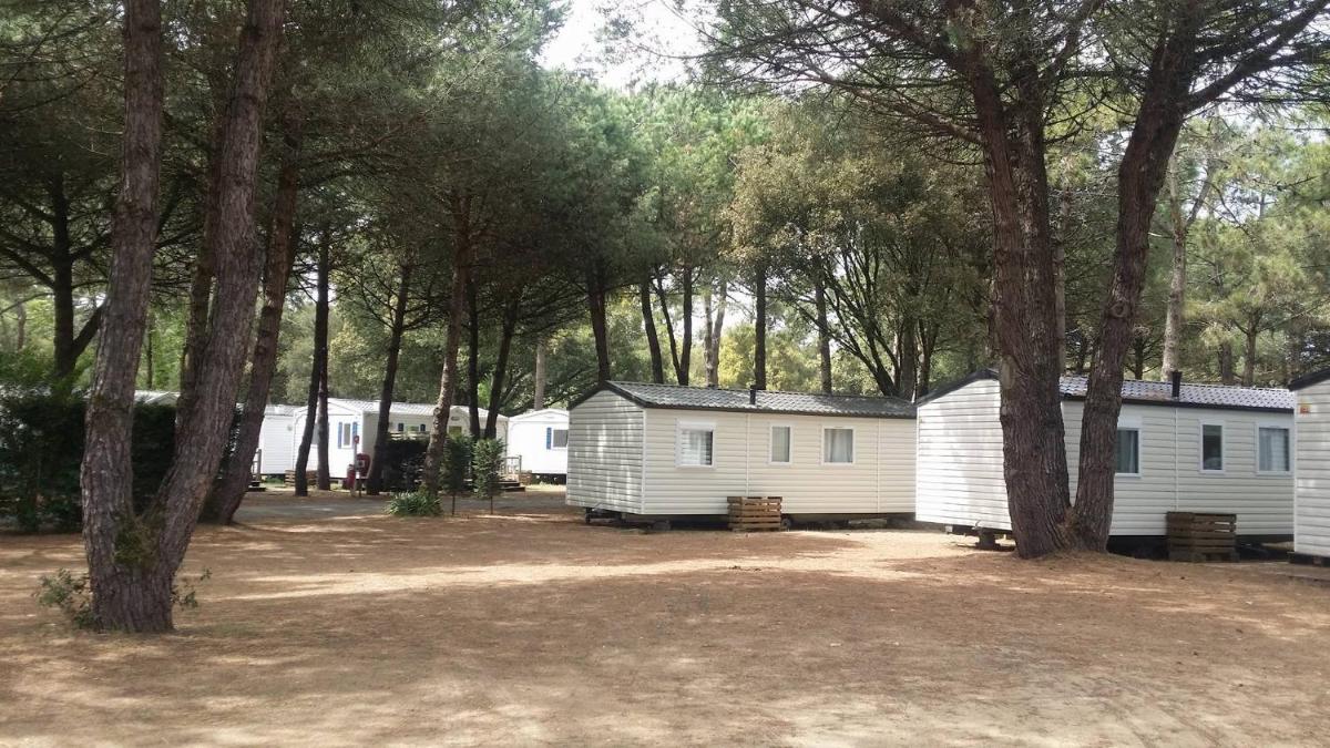 Mobile Home (8 persons) photo 1
