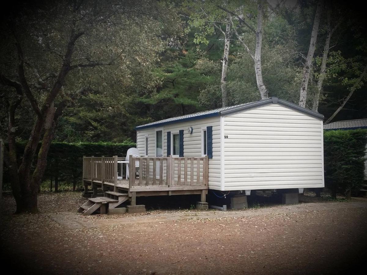 Mobile Home (6 persons) photo 3