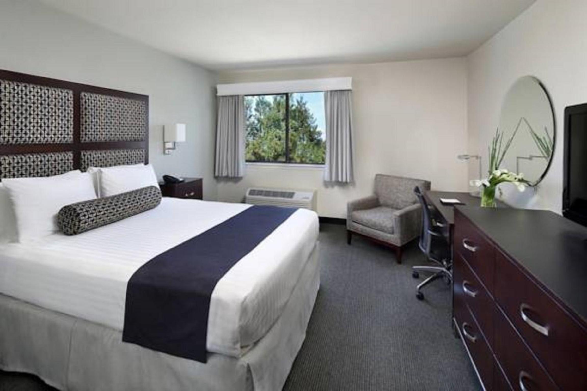 King Room - Photo 7
