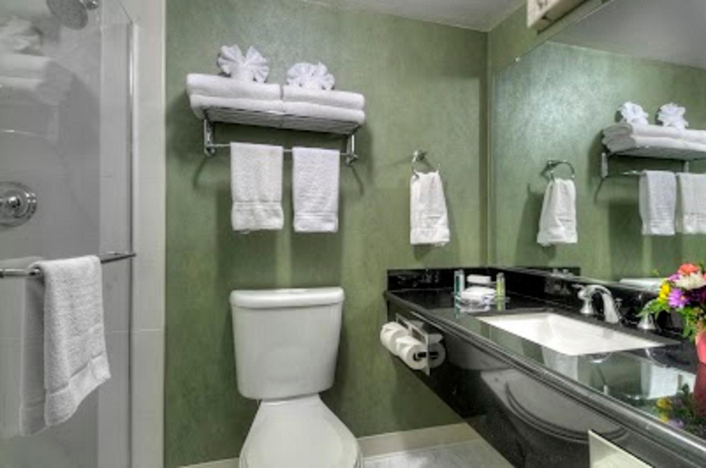 Queen Room - Photo 6