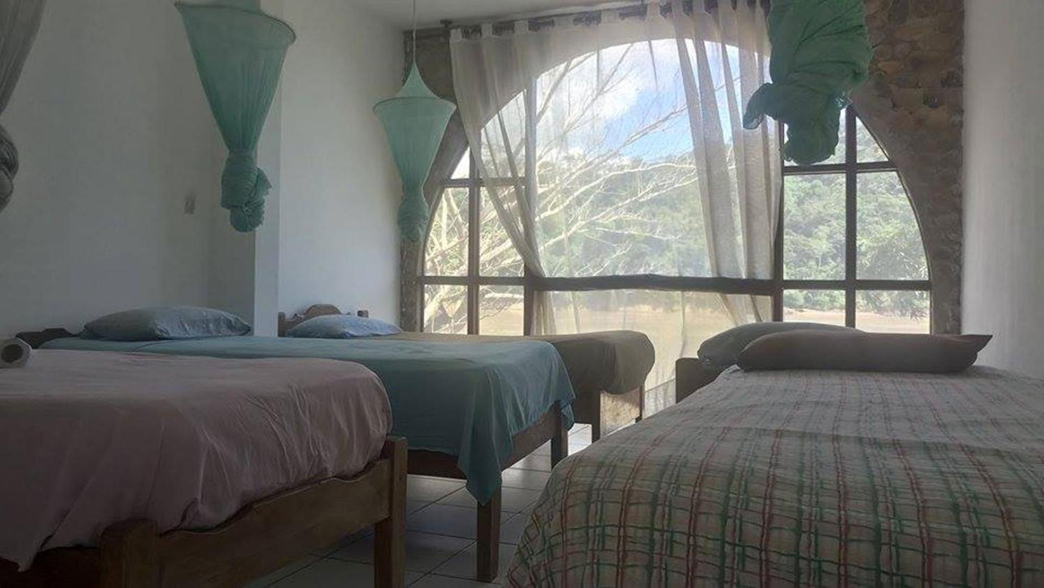 Single Bed in Mixed Dormitory Room photo 1