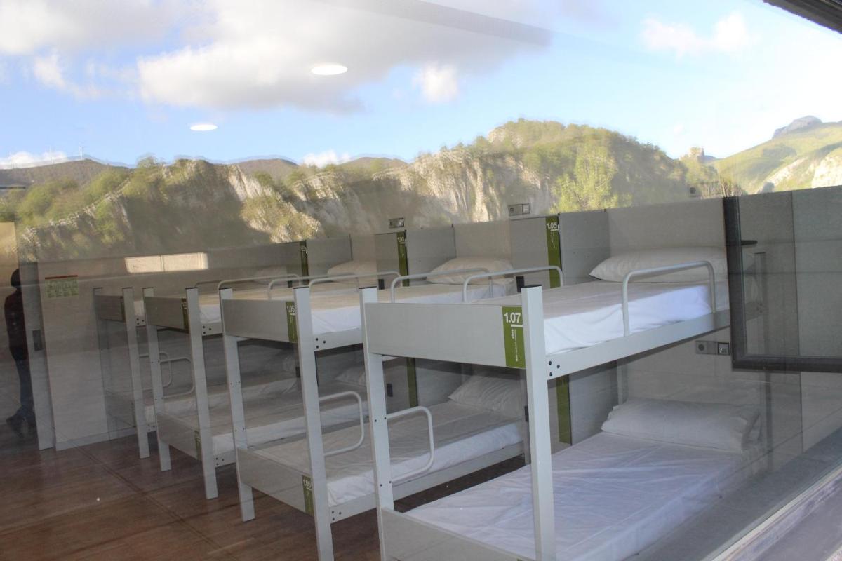 Single Bed in Mixed Dormitory Room photo 3