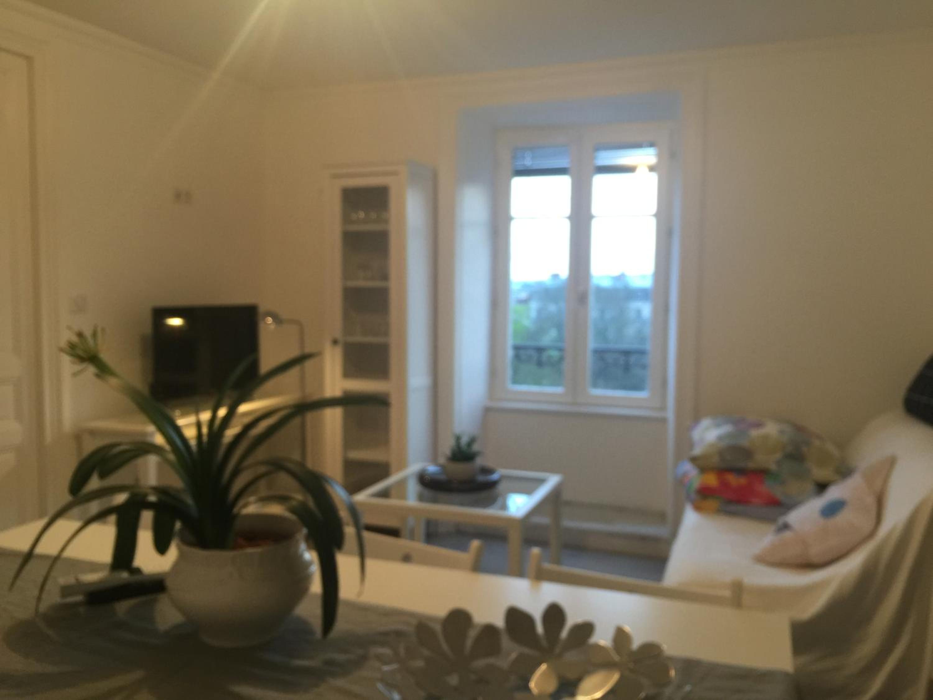 Apartment with Garden View - Photo 1