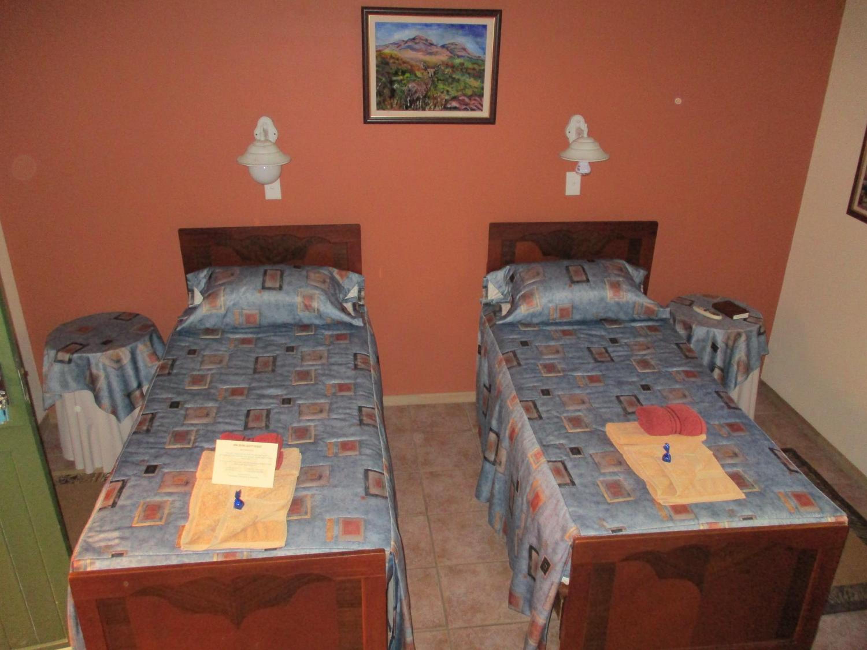 Large Twin Room - Photo 3