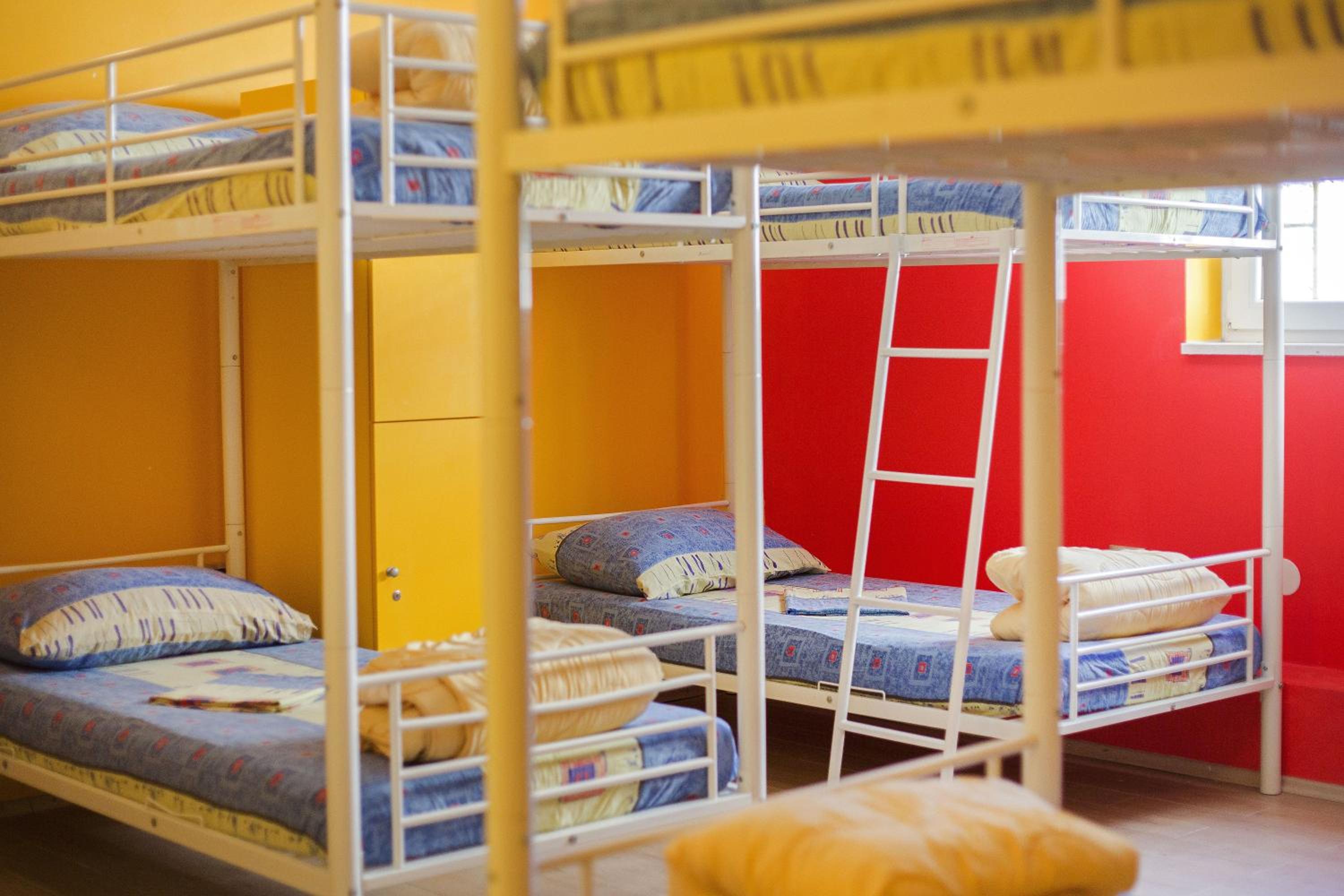 Bed in 10-Bed Mixed Dormitory Room