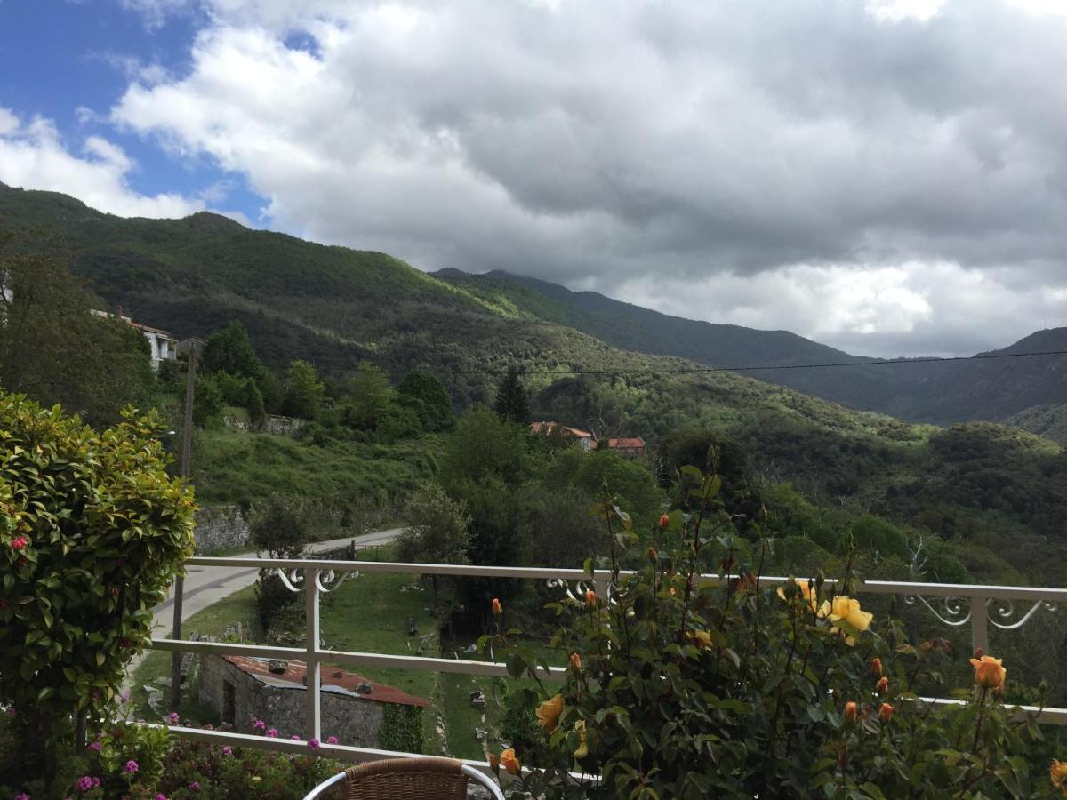 Double Room with Mountain View photo 2