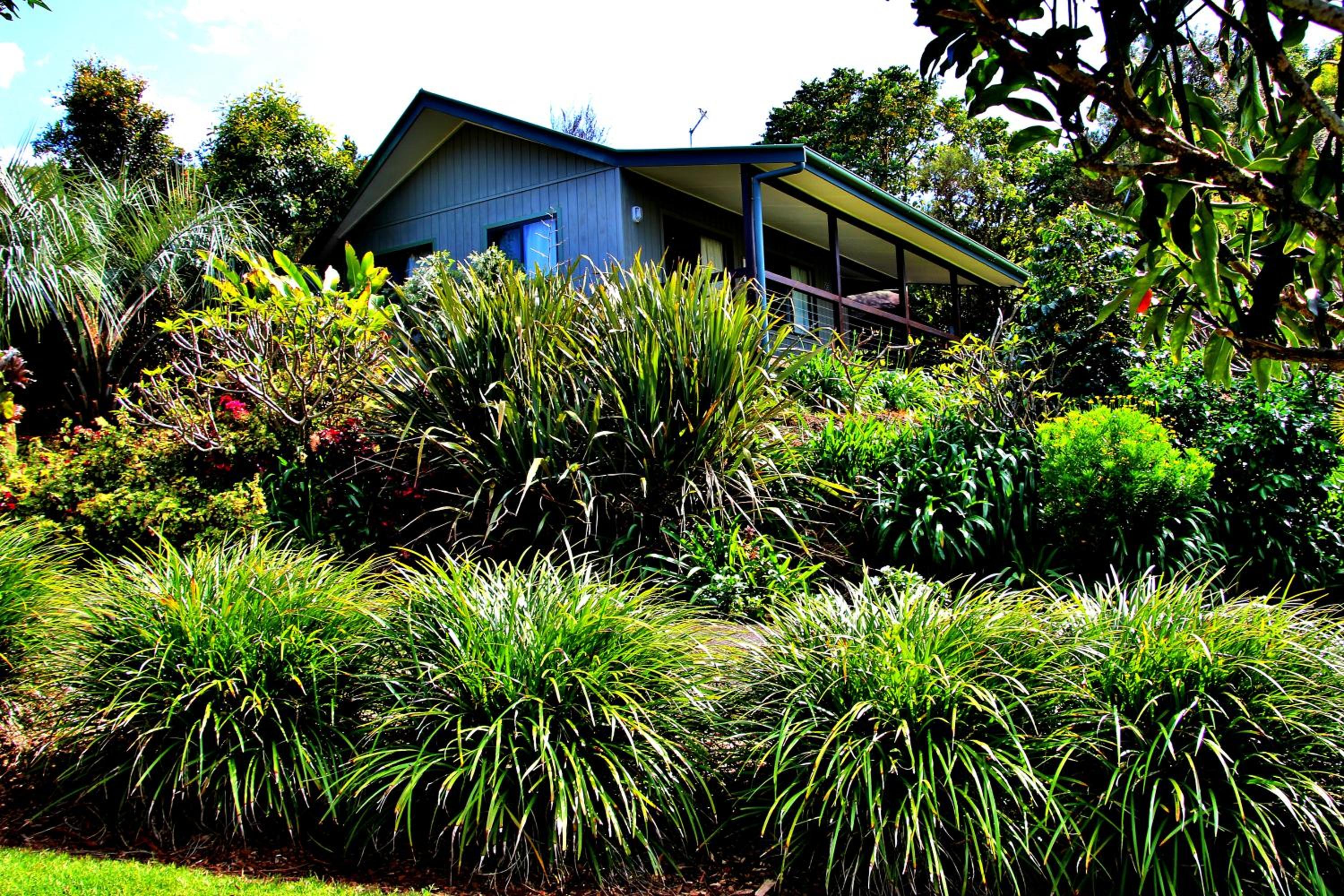 One-Bedroom Cottage photo 2