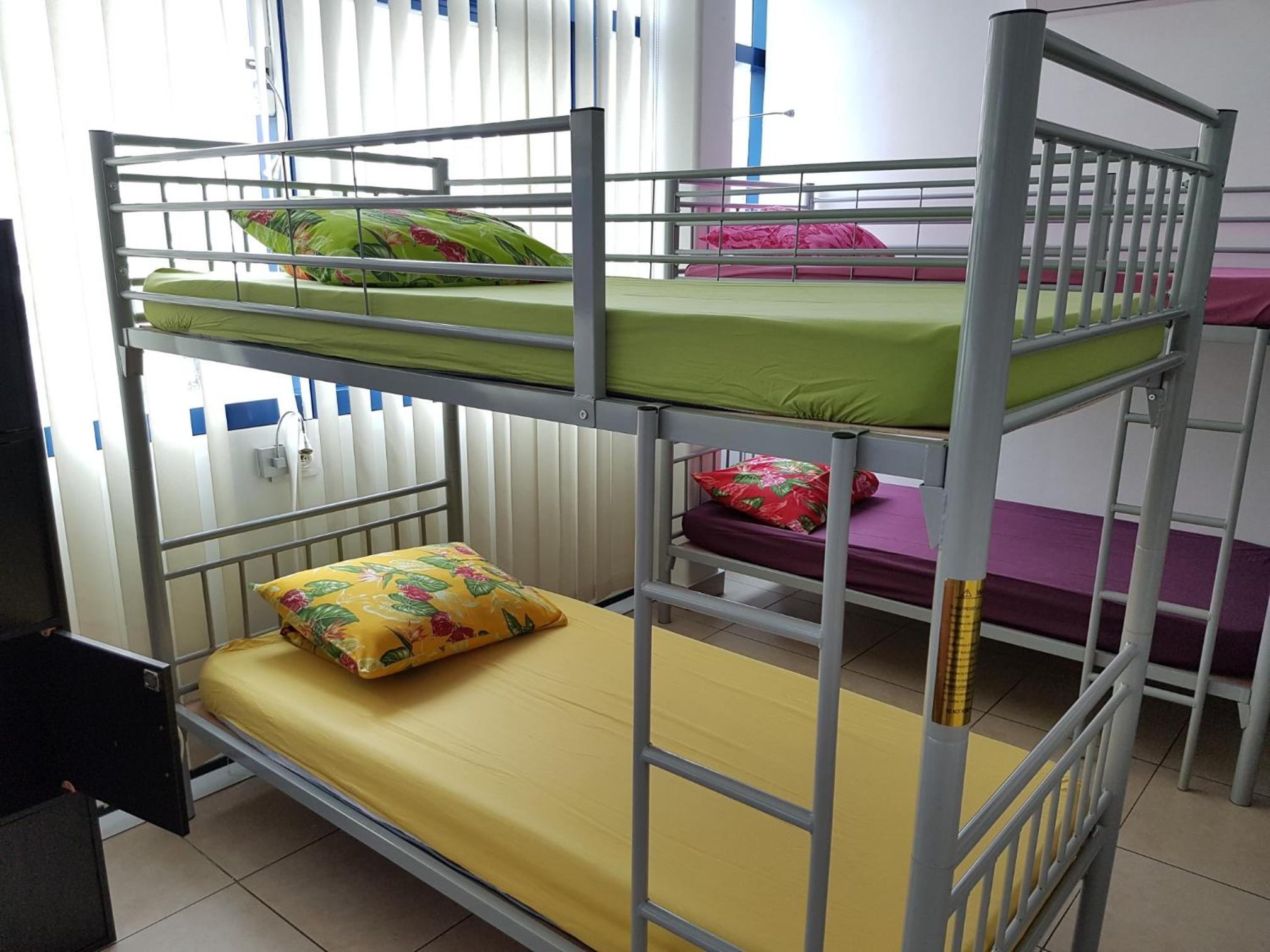 Bunk Bed in Mixed Dormitory Room photo 3
