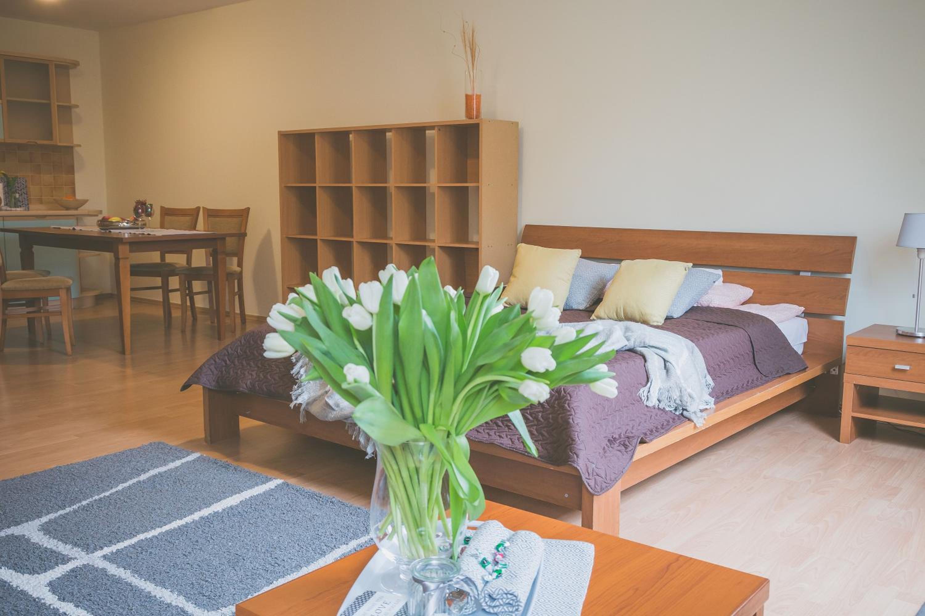 Standard Apartment photo 1