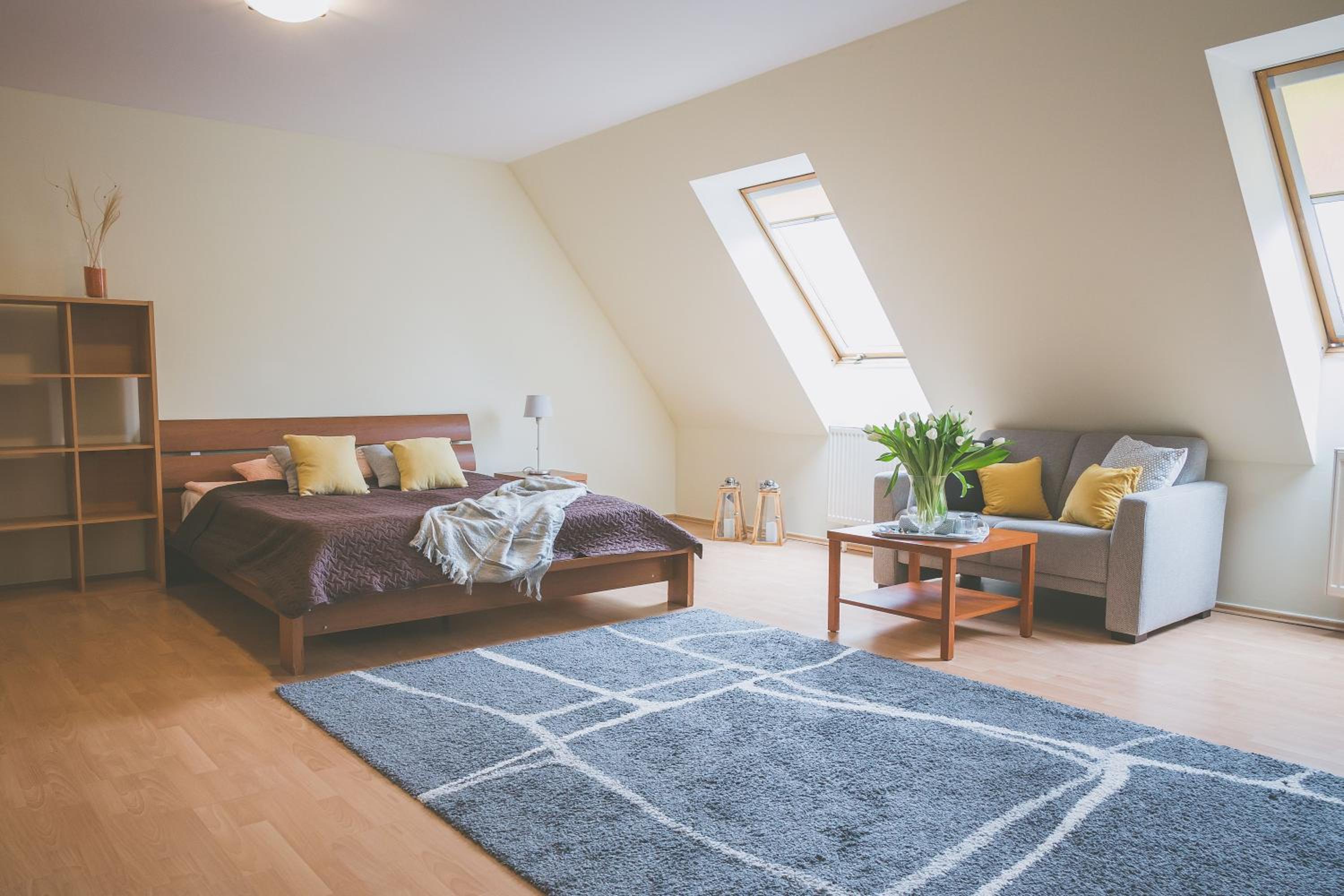 Standard Apartment photo 2
