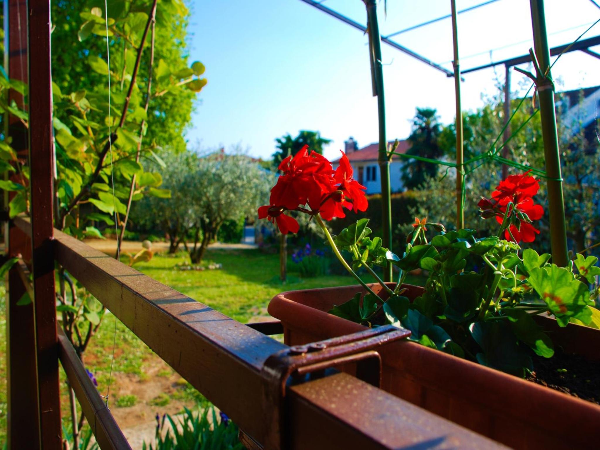 Apartment with Garden View - Photo 2