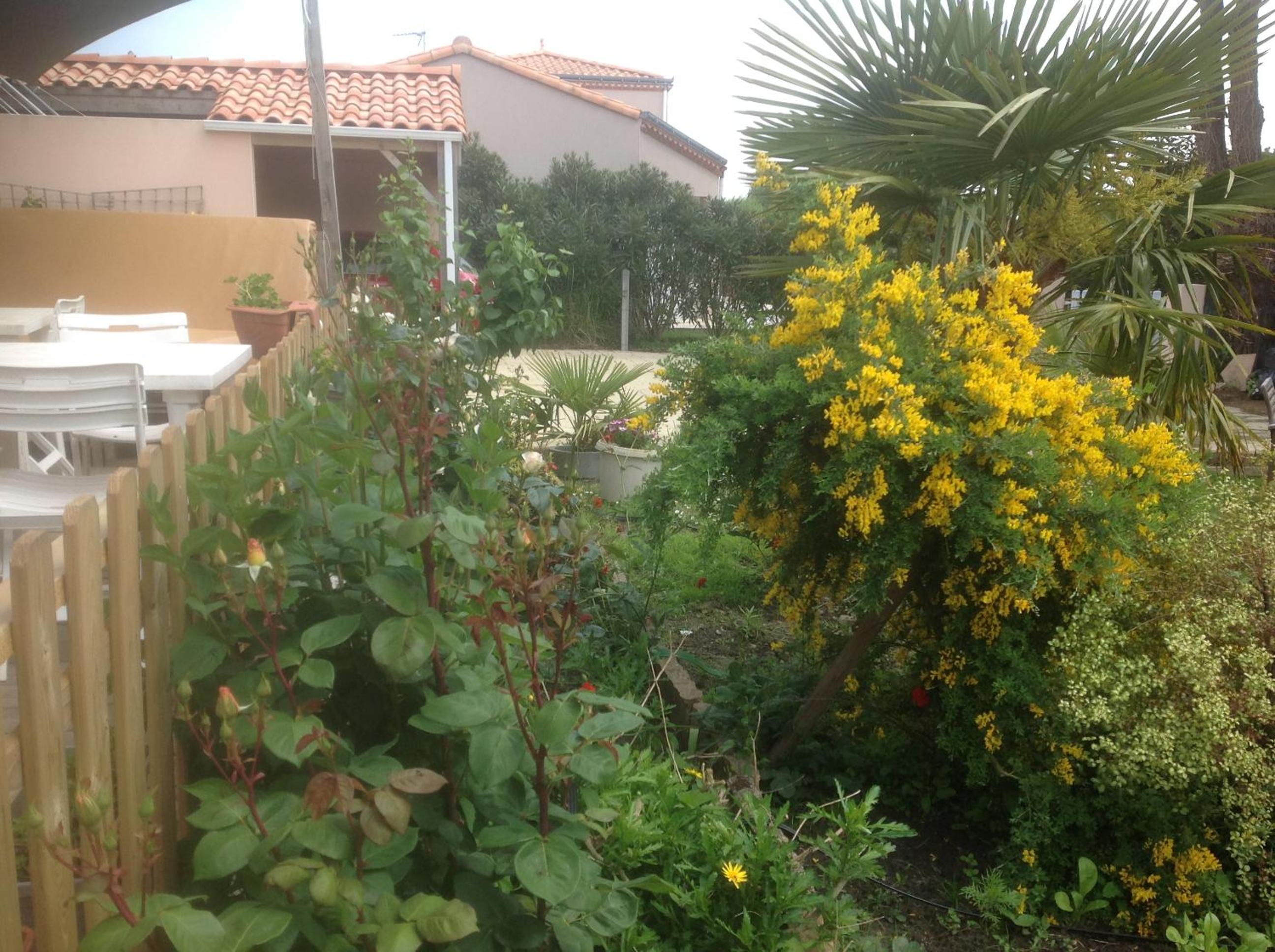 Apartment - Photo 91