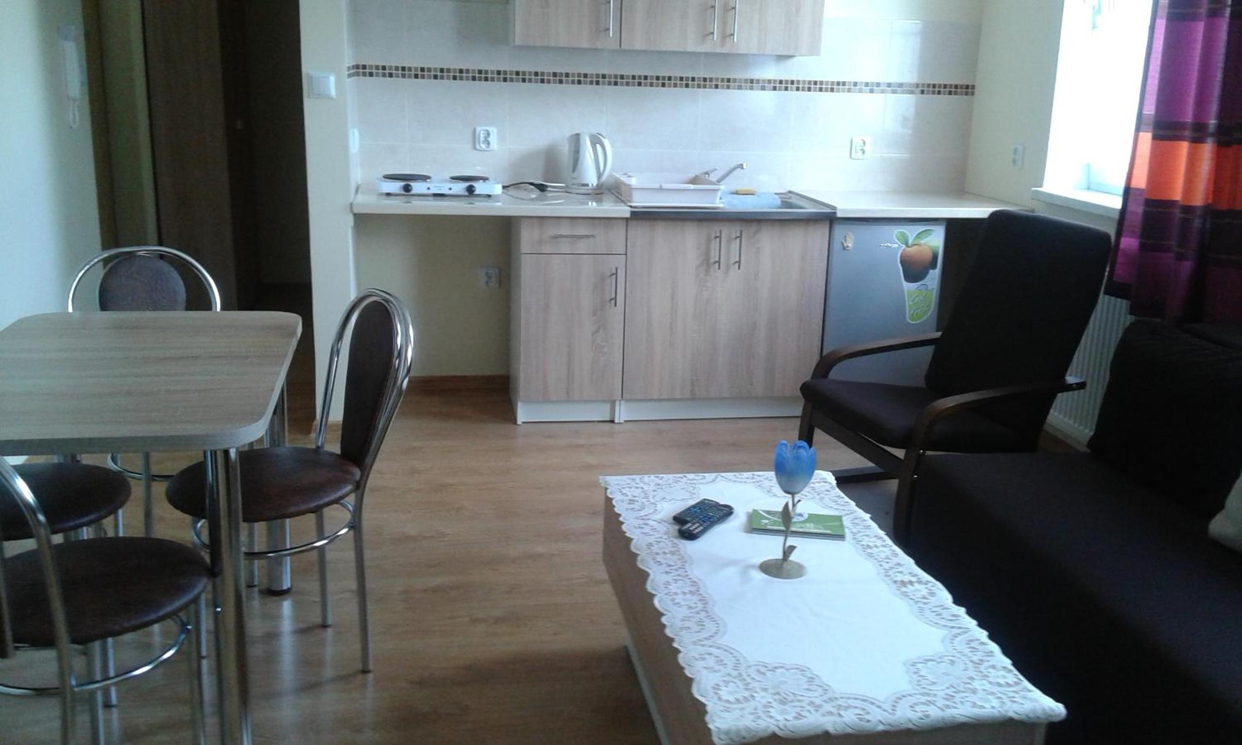 One-Bedroom Apartment - Photo 10