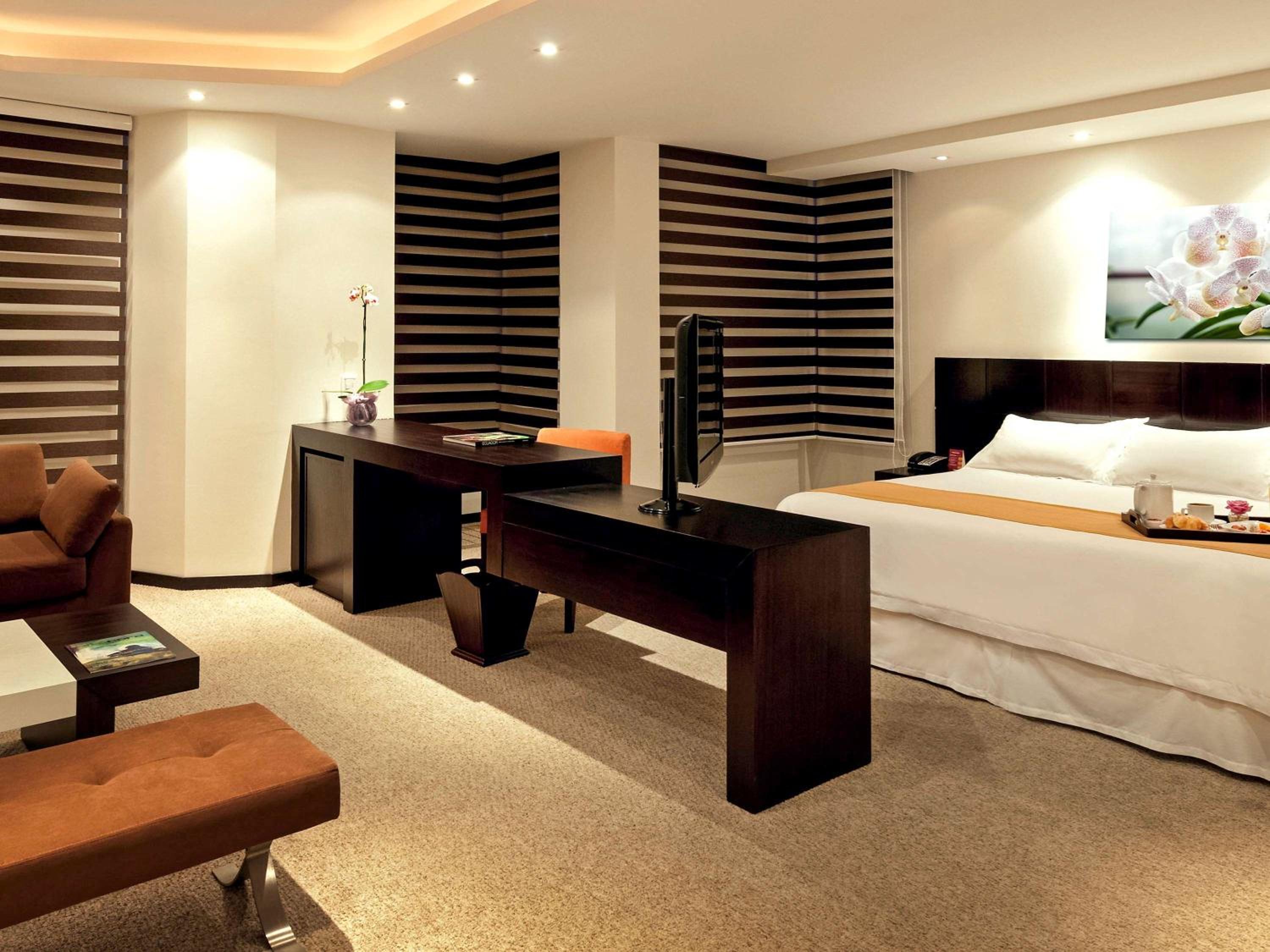 Deluxe King Suite - Photo 8