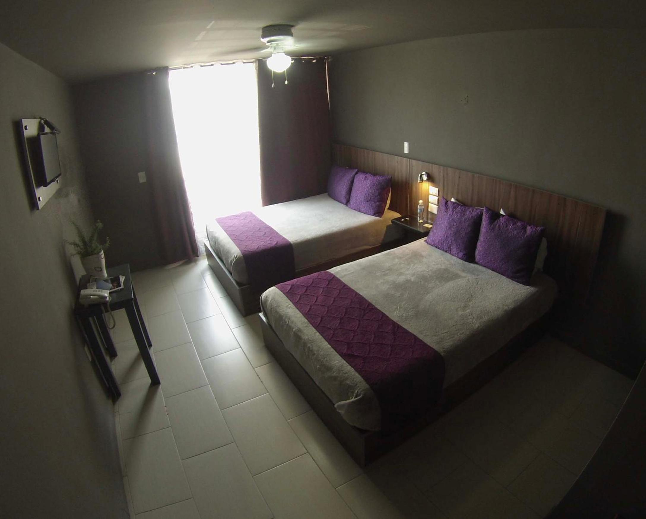 Twin Room photo 3