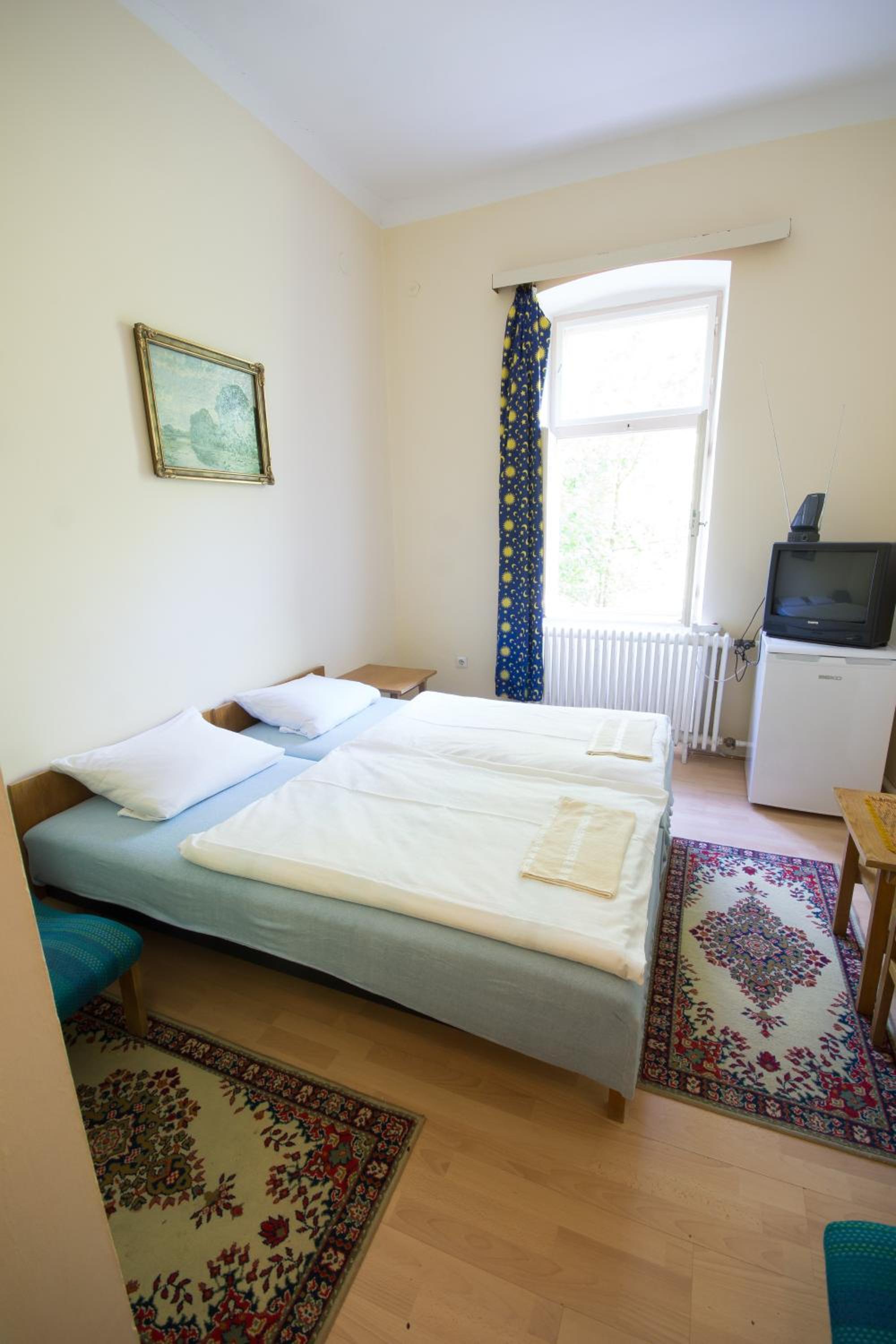 Deluxe Double or Twin Room photo 1