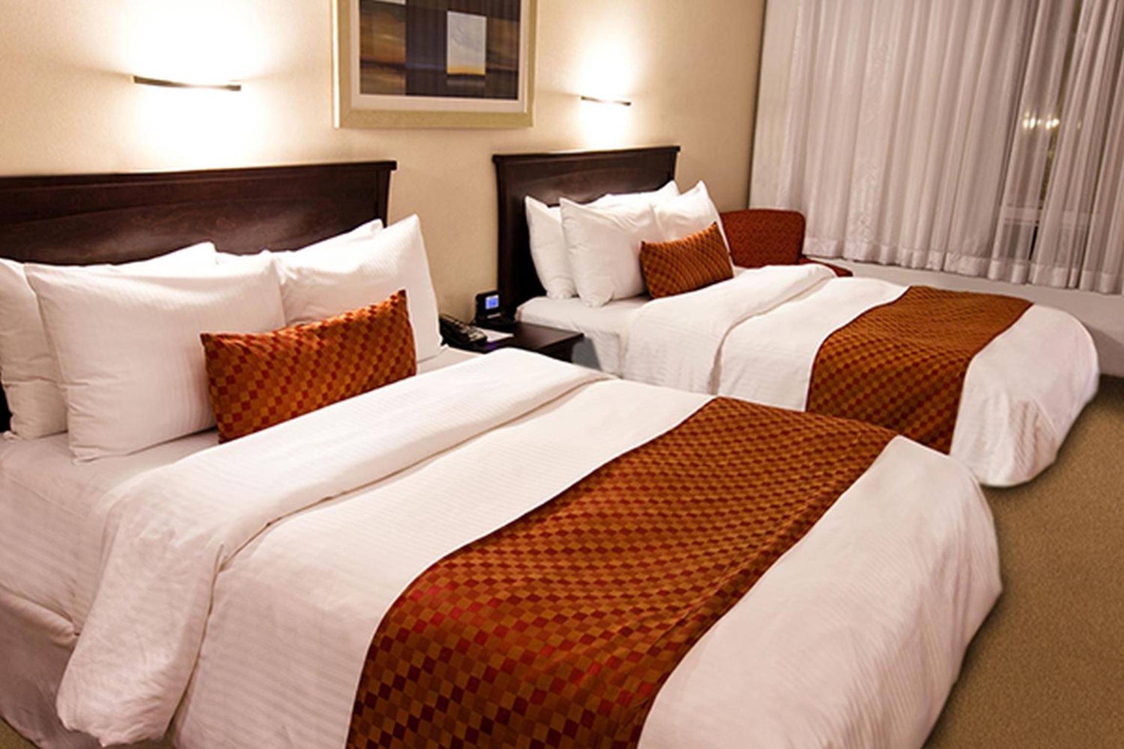 Executive Queen Room with Two Queen Beds photo 1