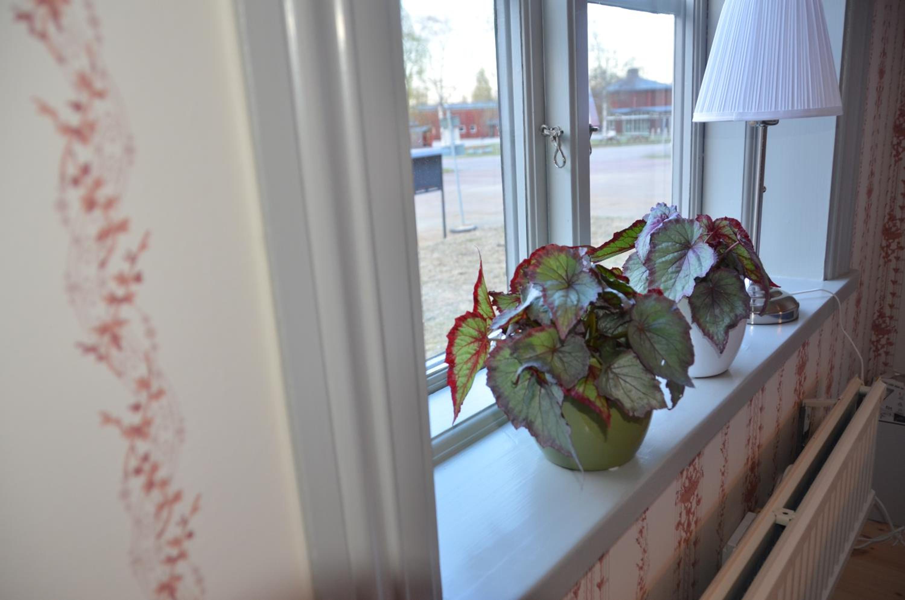Standard Double Room with Shared Bathroom photo 3