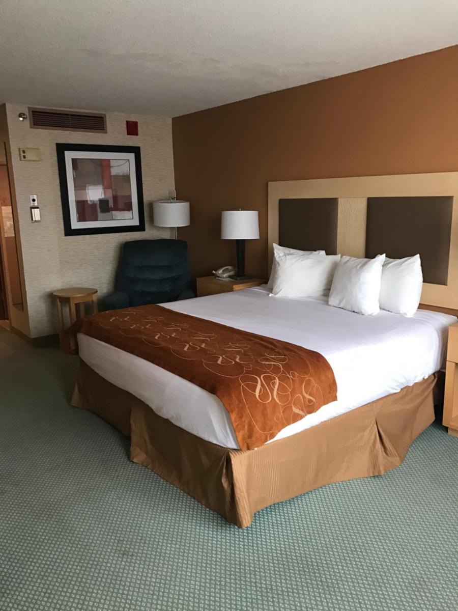 King Room photo 1