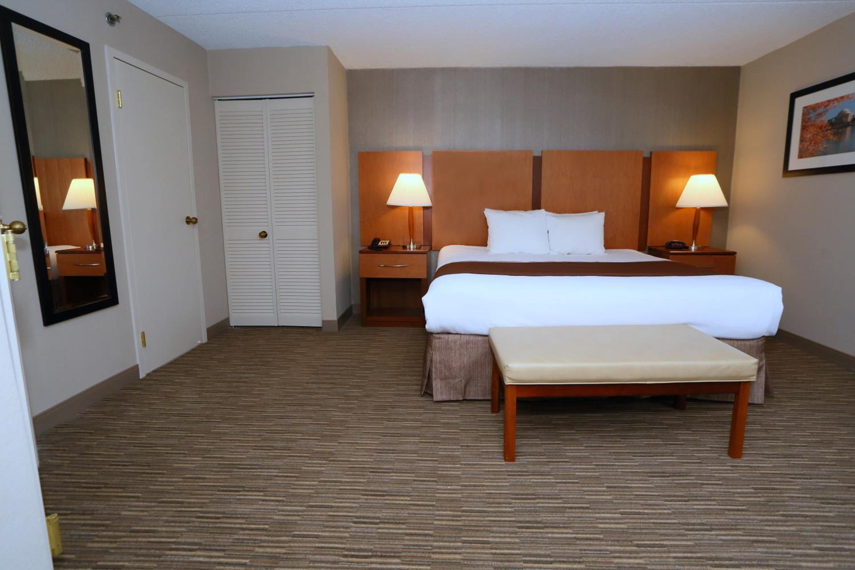 King Suite with Sofa Bed - Photo 3