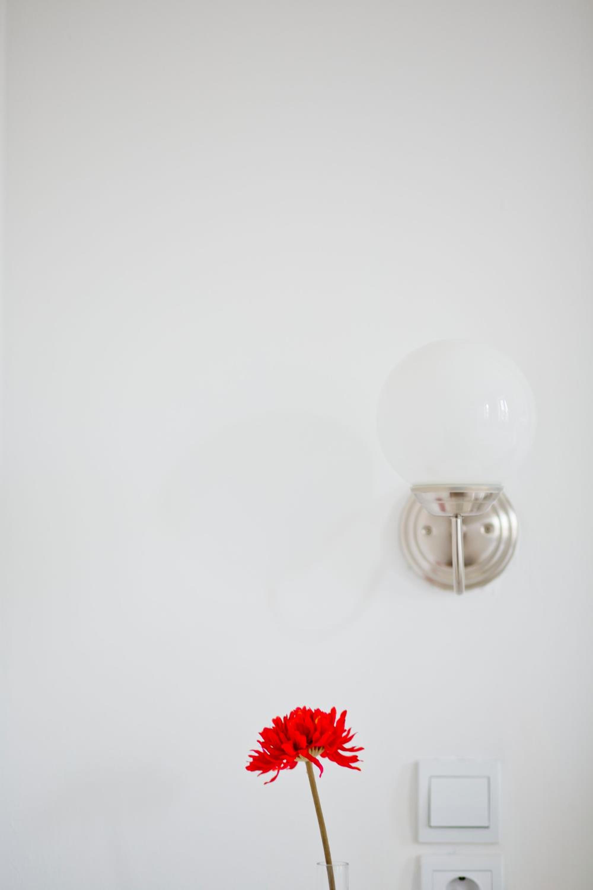 Superior Double Room - Photo 6