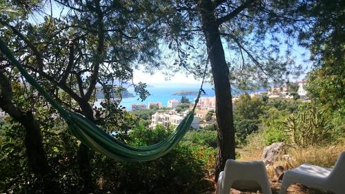 Studio Apartment with Sea View photo 3