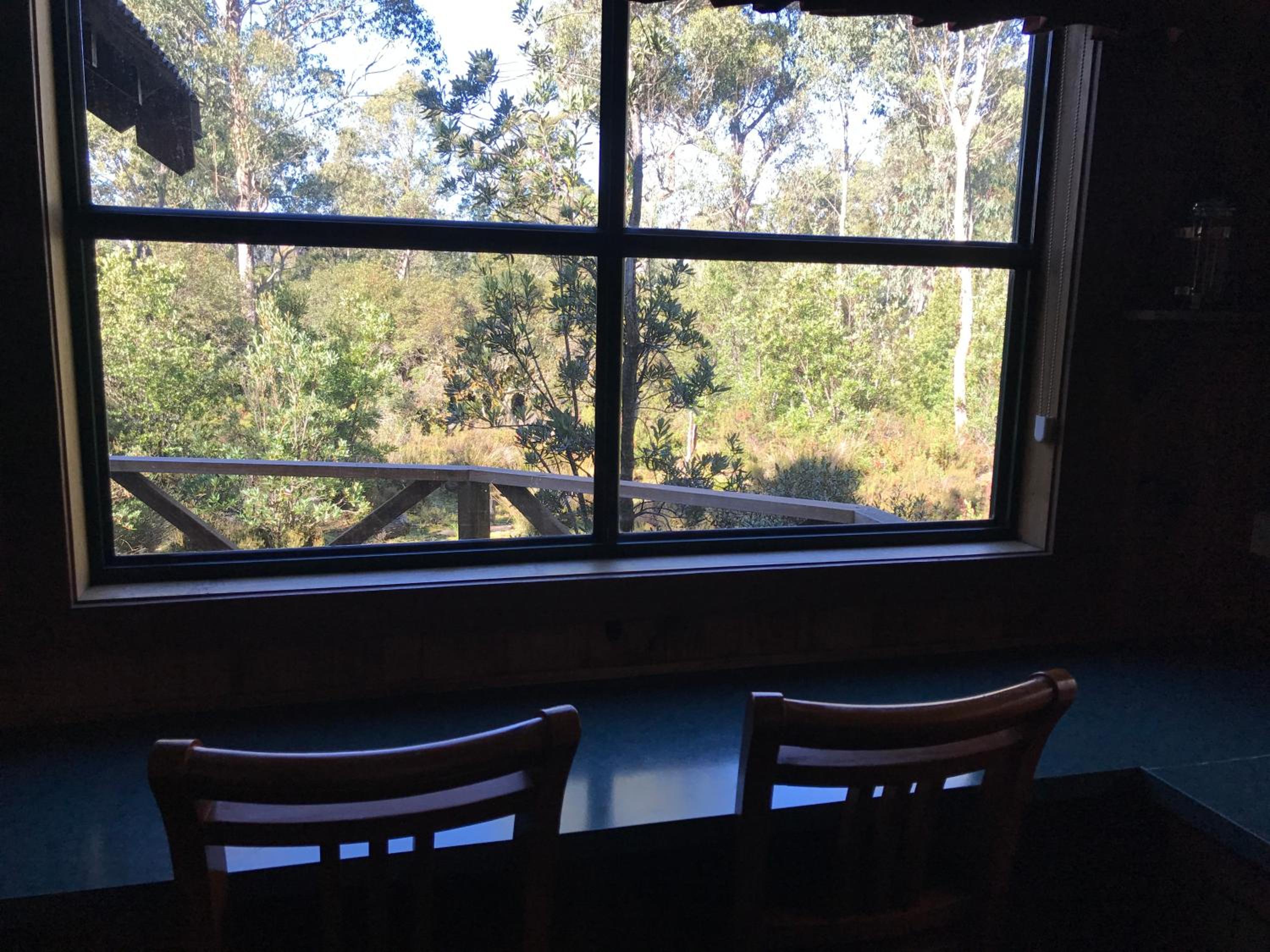 Tallow-wood Spa Cabin photo 2