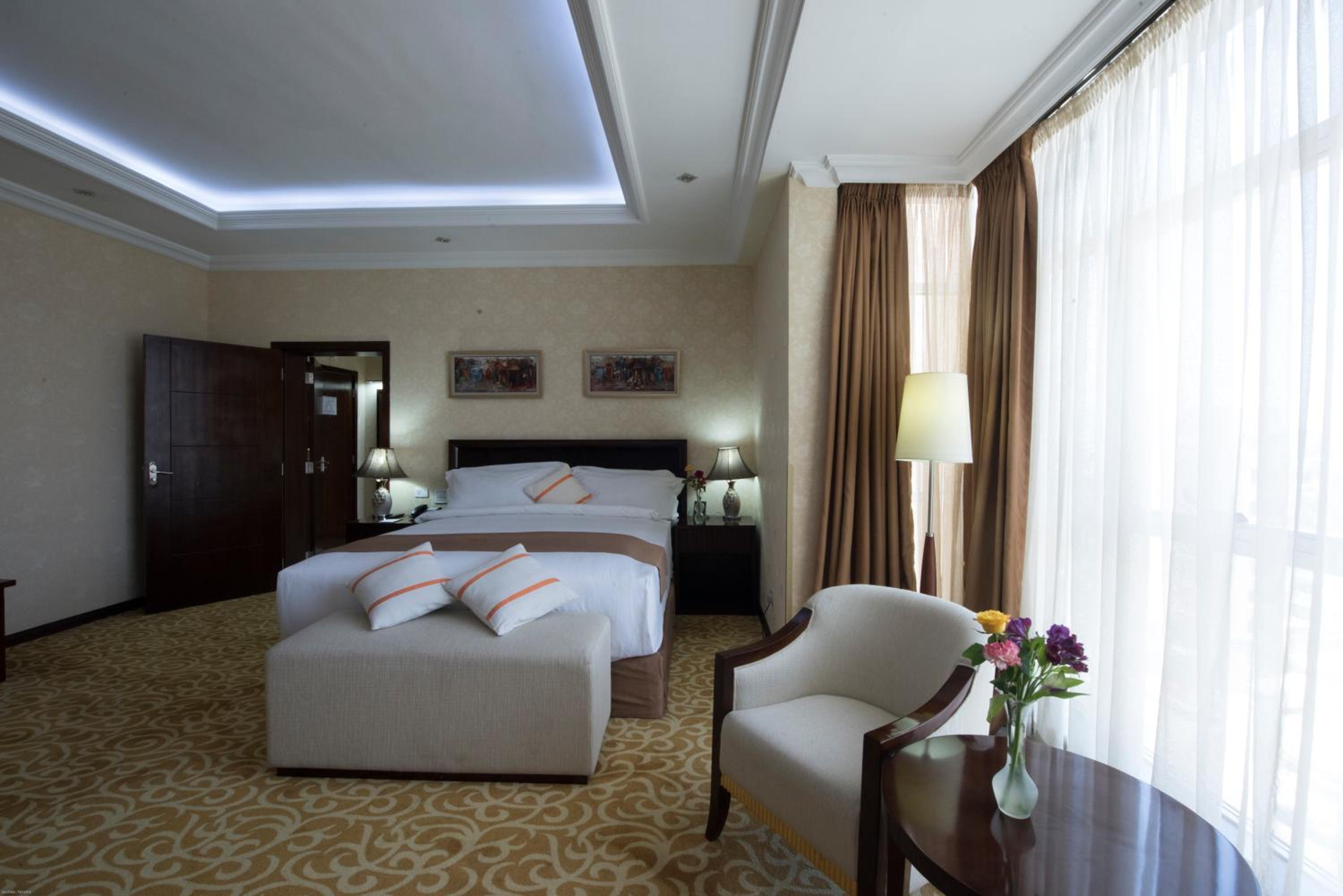 Suite - Photo 1