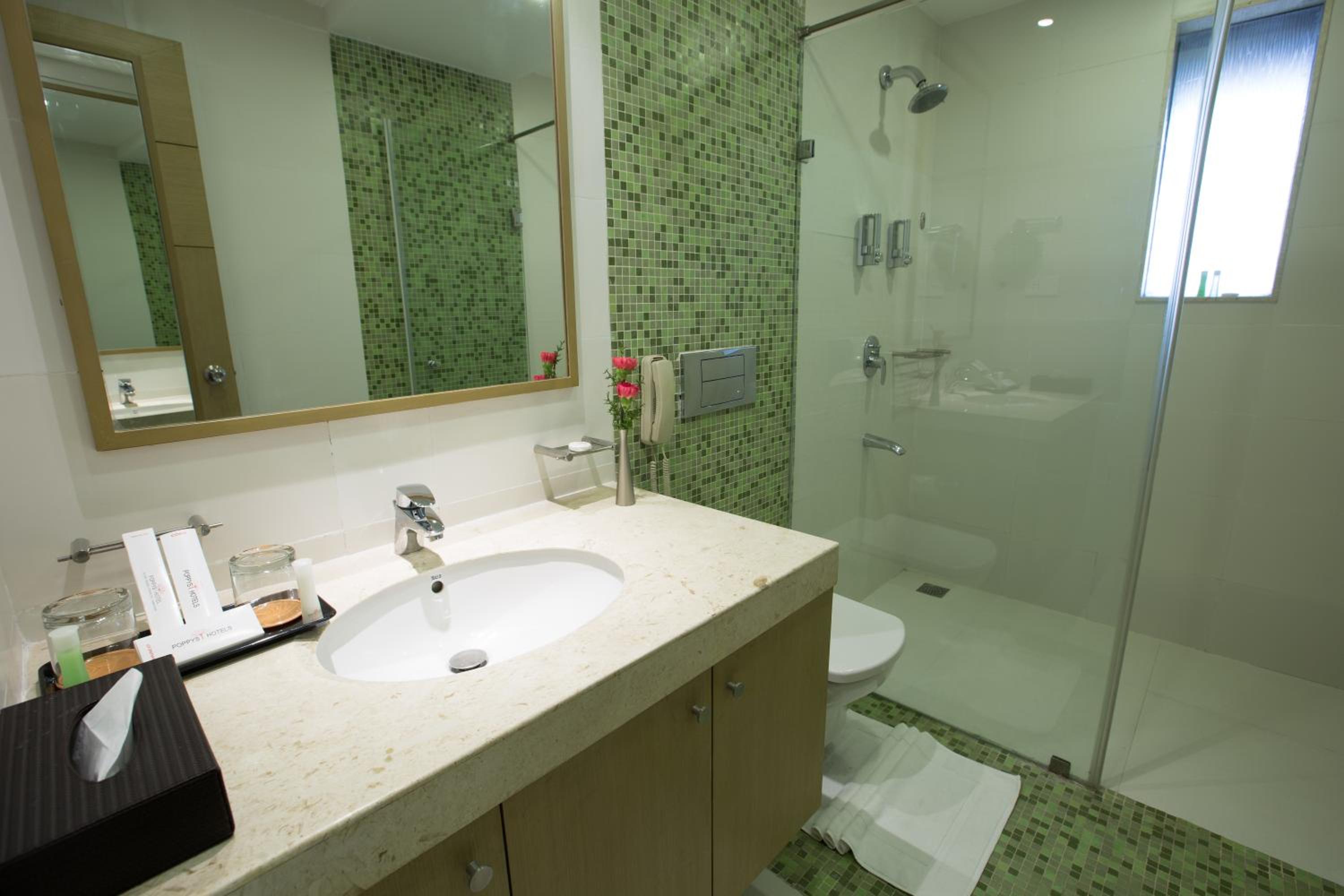 Premium Double or Twin Room photo 3