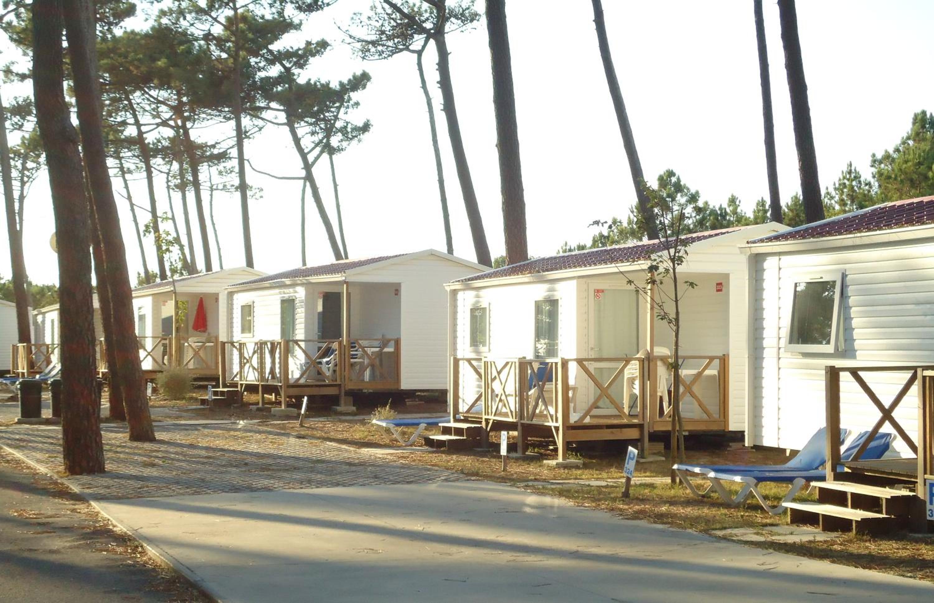 Mobile Home photo 3
