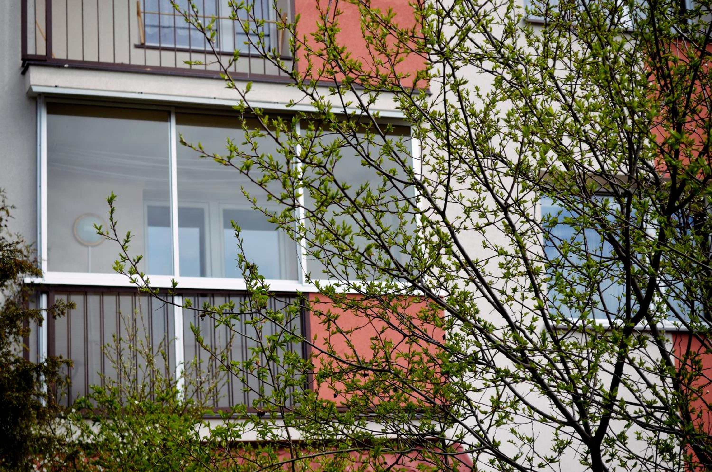 Apartment - Photo 5